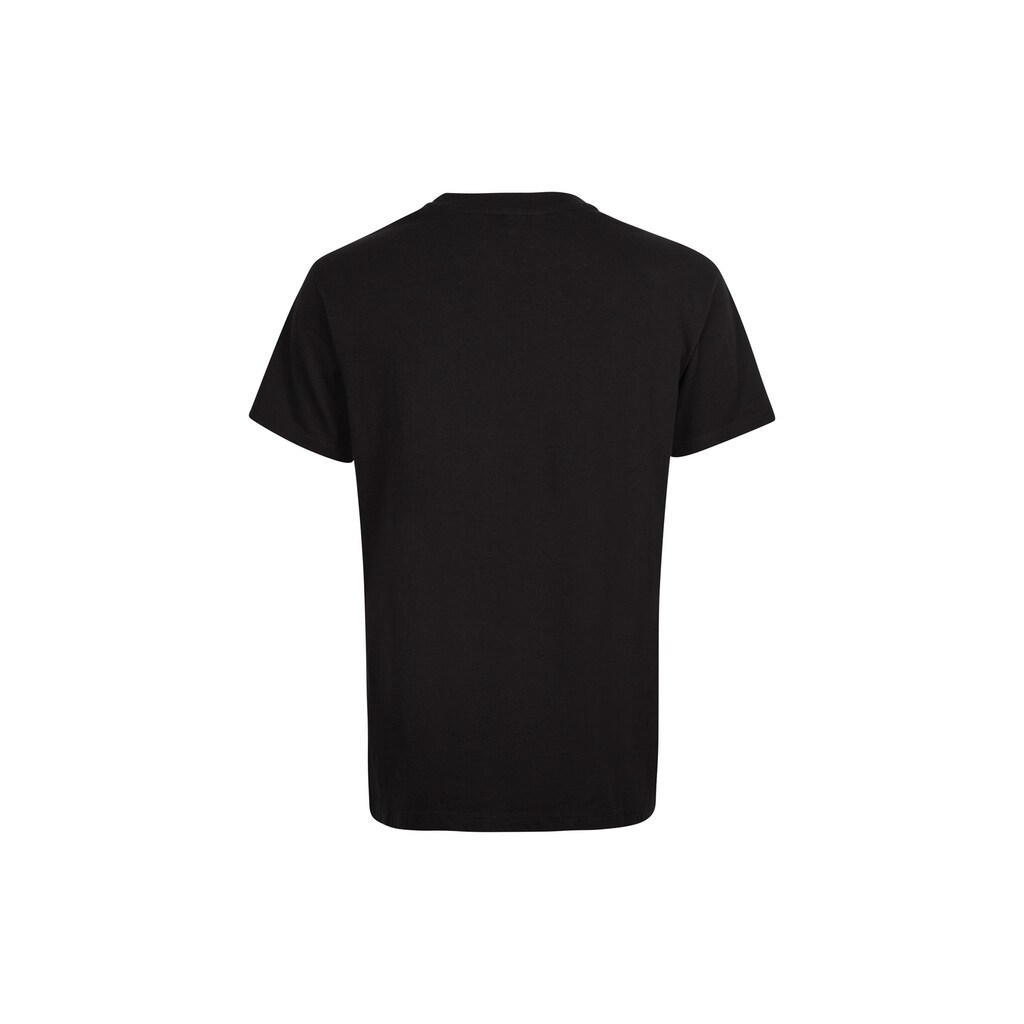 O'Neill T-Shirt »PALM T-SHIRT«