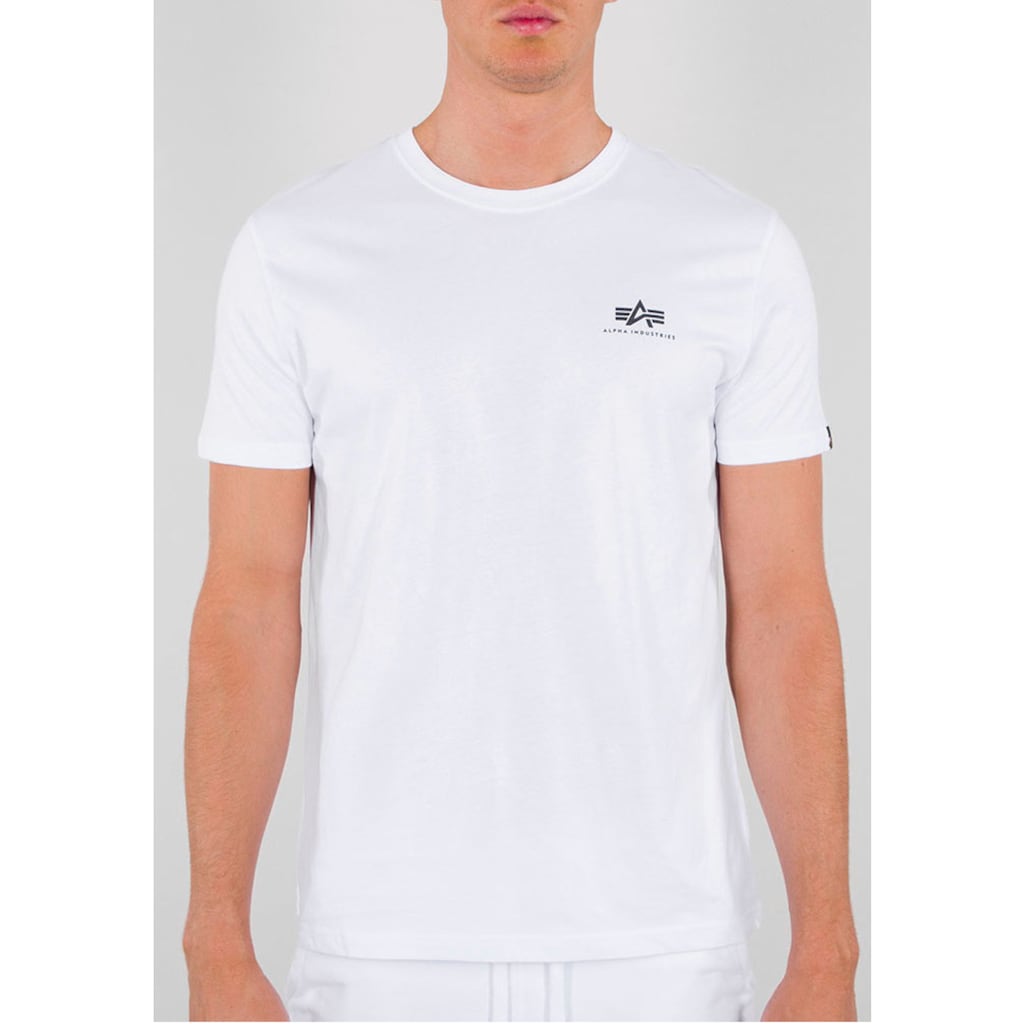 Alpha Industries Rundhalsshirt »Backprint T«