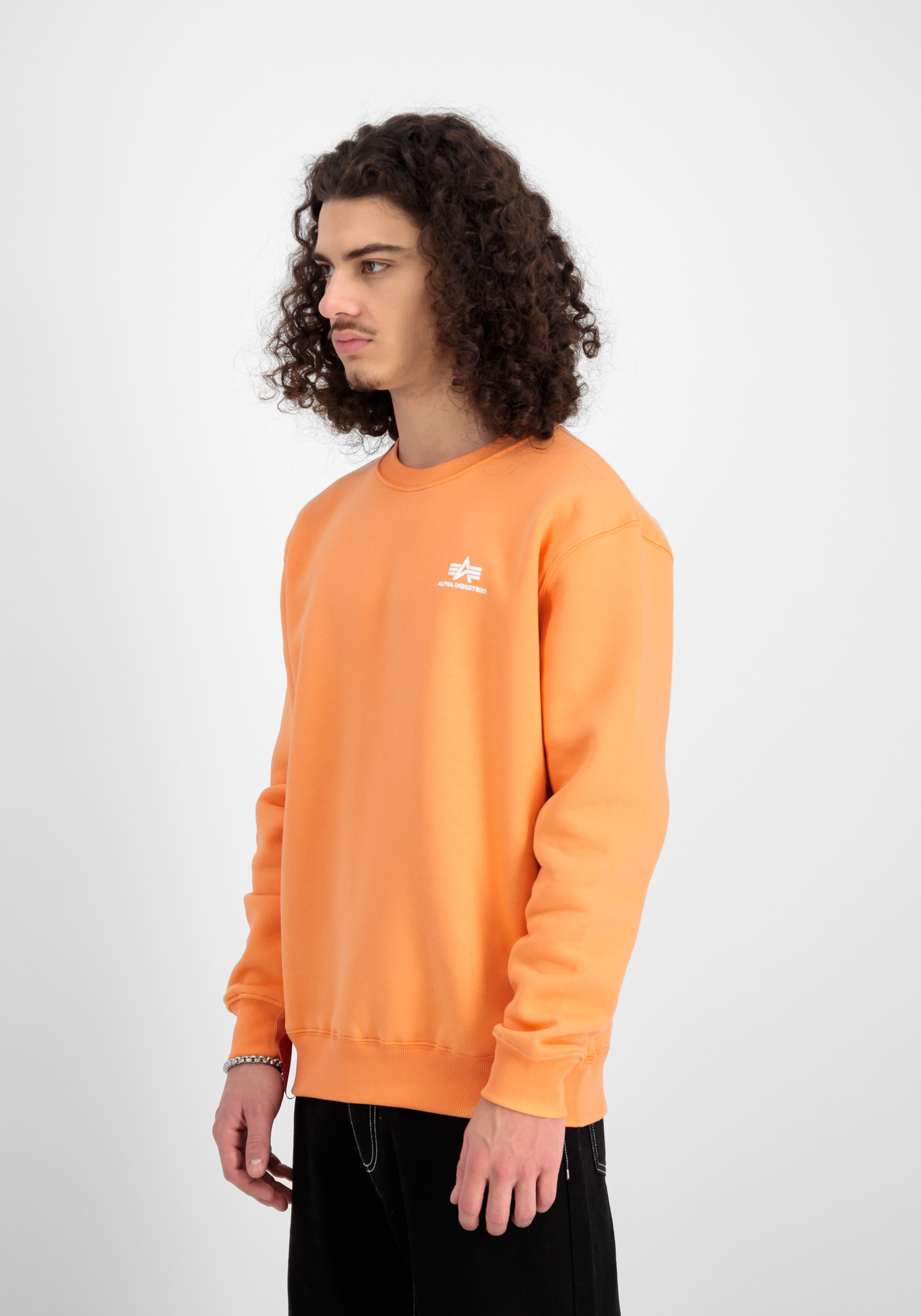 Alpha Industries Sweater »Alpha Industries Men - Sweatshirts Basic Sweatshirt SL«