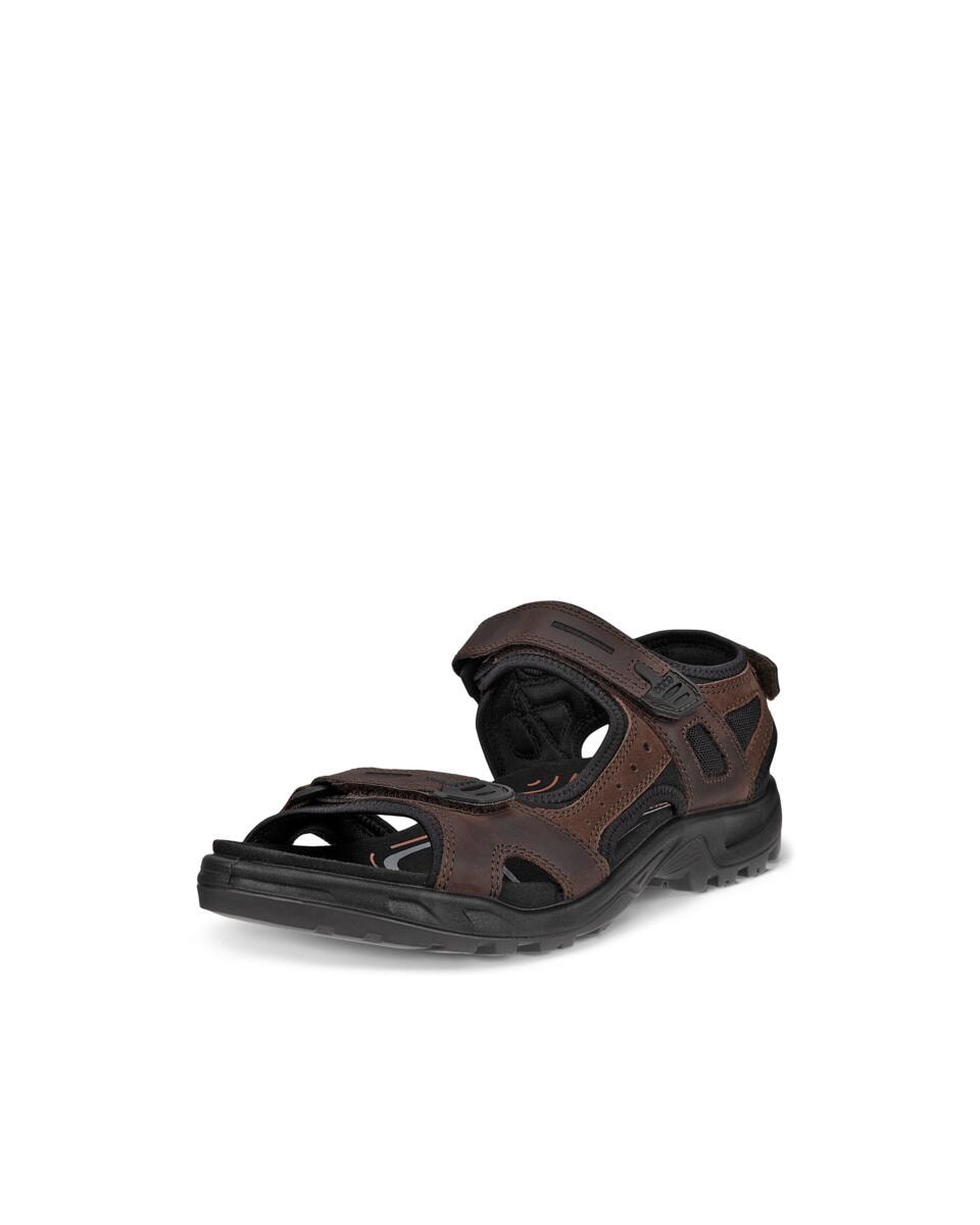 Ecco Outdoorsandale "Offroad", Sommerschuh, Klettschuh, Outdoorschuh, in Tr günstig online kaufen