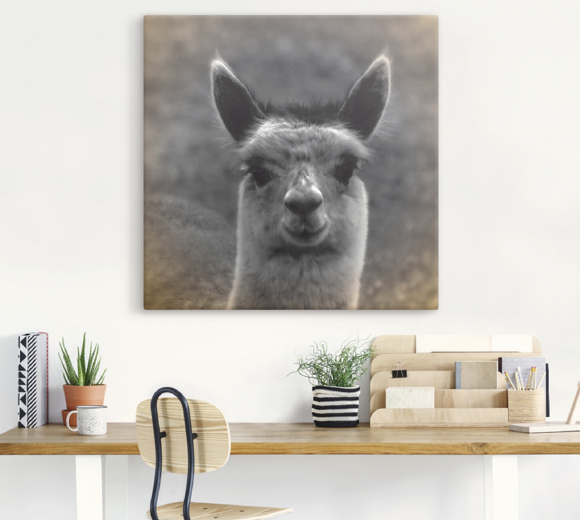 Artland Wandbild »Alpaka Blick«, Wildtiere, (1 St.), als Alubild, Outdoorbild, Leinwandbild, Poster in verschied. Größen