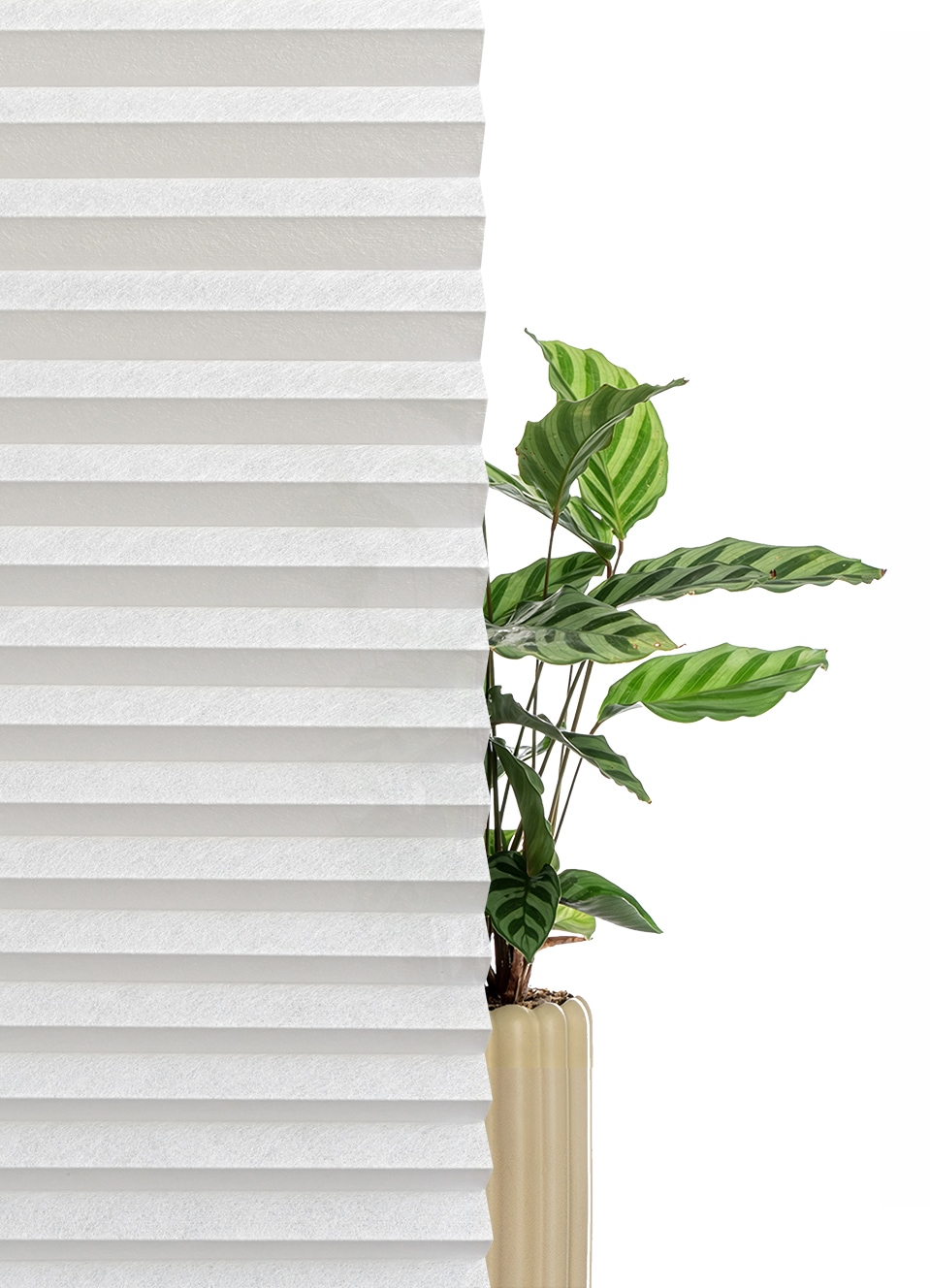 OTTO home Plissee »LORRANA« Lichtschutz ohne Bohren verspannt Fixmaß, moderner Lichtschutz, flexibel verspannt - NEUHEIT!