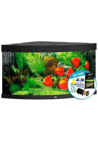 JUWEL AQUARIEN Aquarien-Set »Trigon 350 LED« 350 Lite...