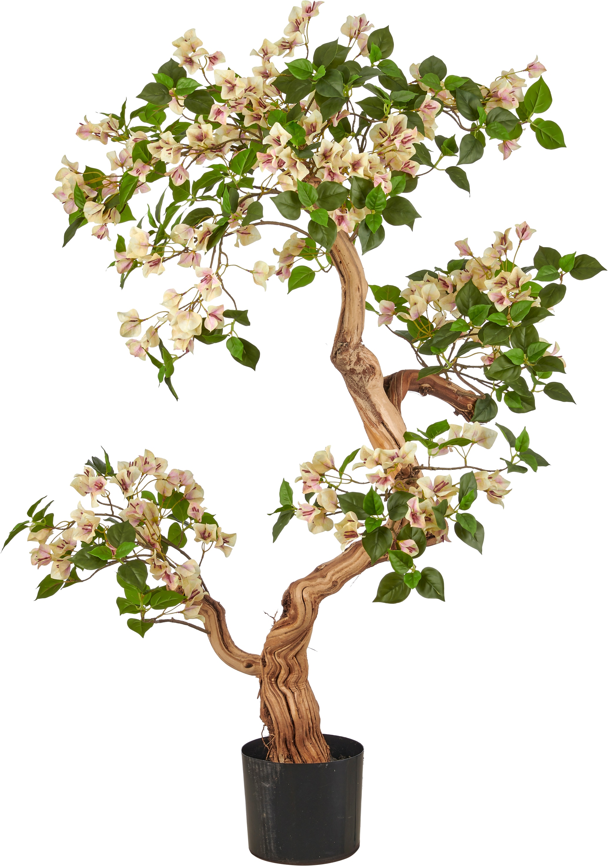 Creativ green Kunstbaum "Bougainvillea" mit traumhaft schönen Blüten
