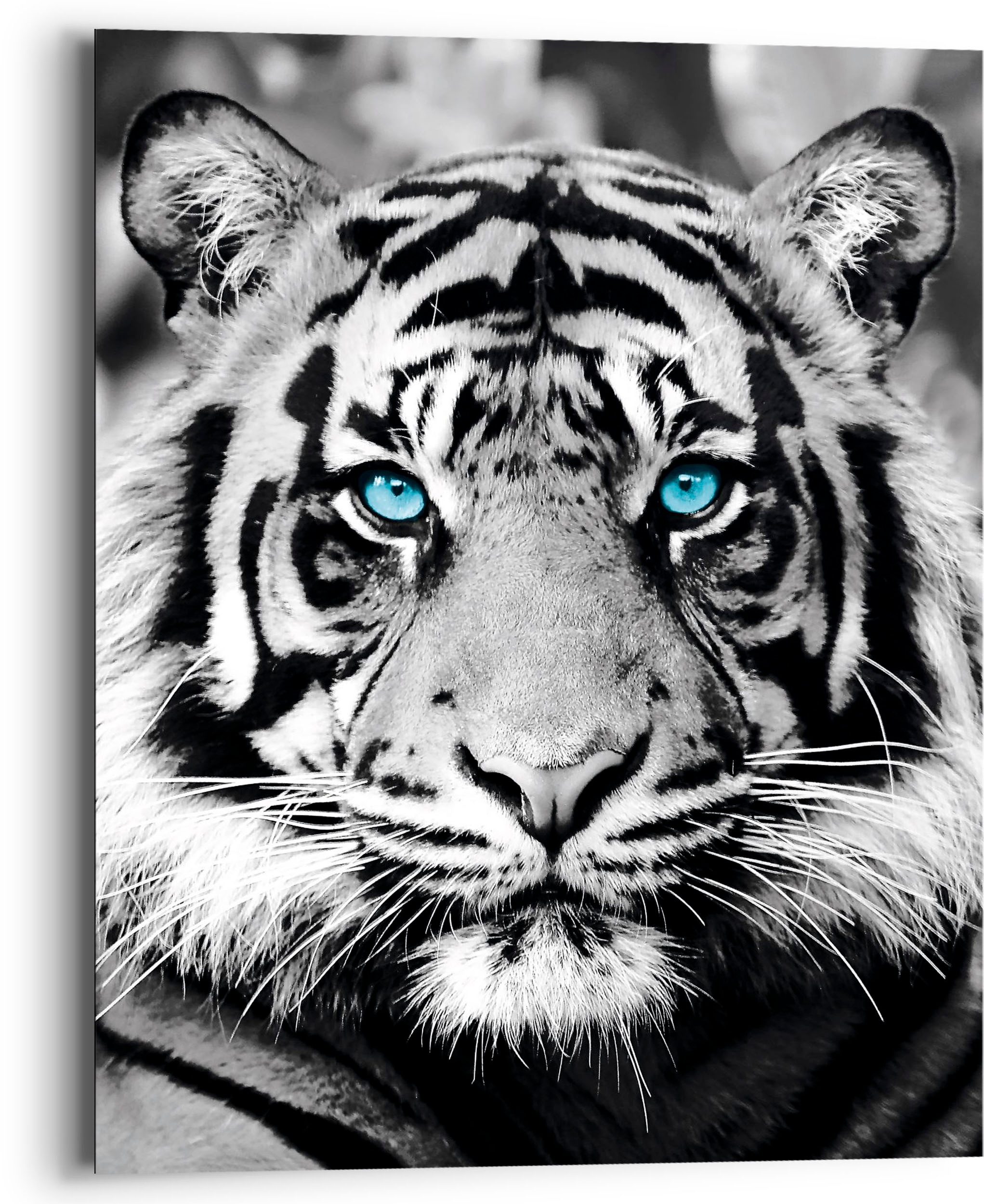 Eyed BAUR Tiger«, »Blue (1 Holzbild | bestellen St.) Reinders!