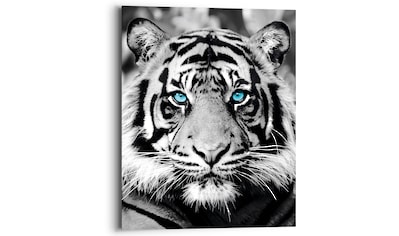 Reinders! Holzbild »Blue Eyed Tiger«, (1 St.) kaufen