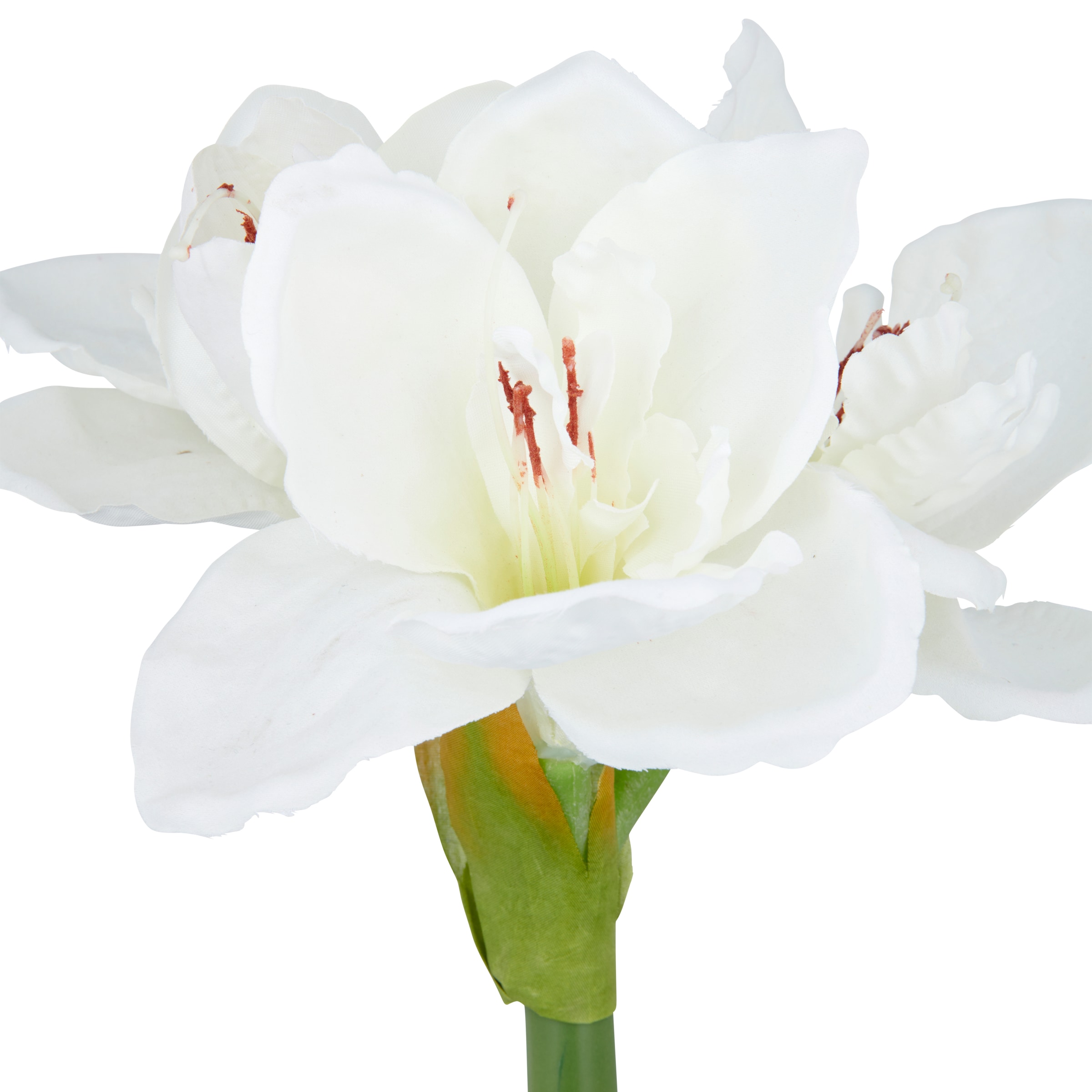 Creativ green Kunstblume »Amaryllis« mit traumhaft schöner Blüte