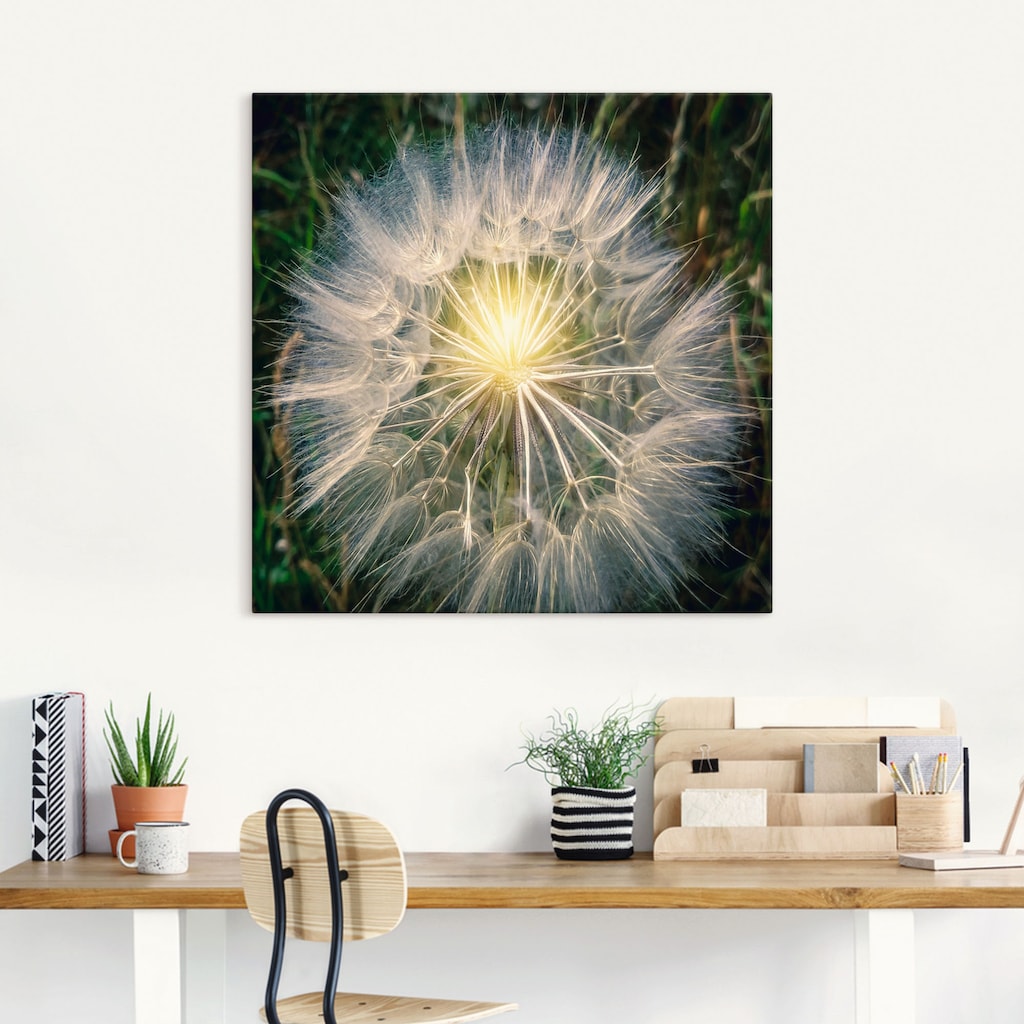 Artland Leinwandbild »Pusteblume Makroaufnahme mit Licht«, Blumenbilder, (1 St.)