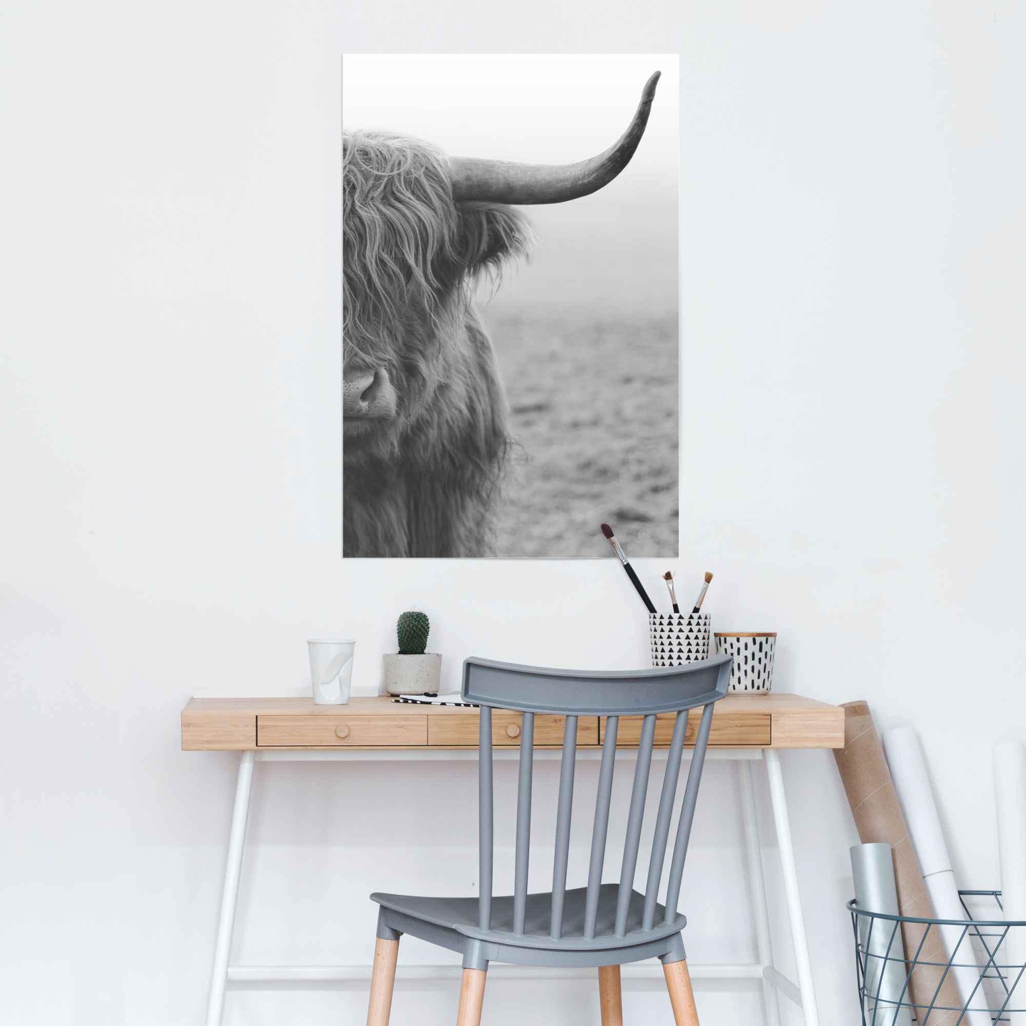 Reinders! Poster »Poster Highlander Bulle«, Kuh, (1 St.)