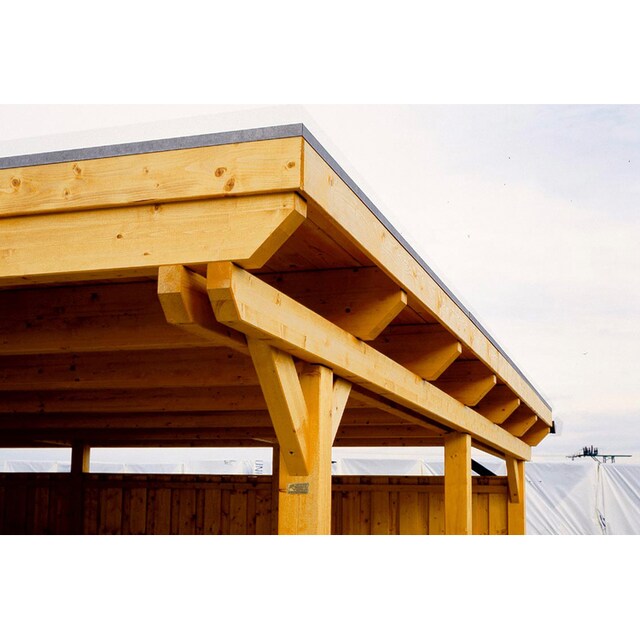 Skanholz Doppelcarport »Emsland«, Holz, 550 cm, natur, mit Abstellraum, in  versch. Farben per Rechnung | BAUR