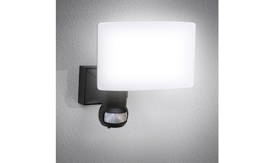 B.K.Licht LED Außen-Wandleuchte, LED-Board, Neutralweiß, LED Außenleuchte... kaufen
