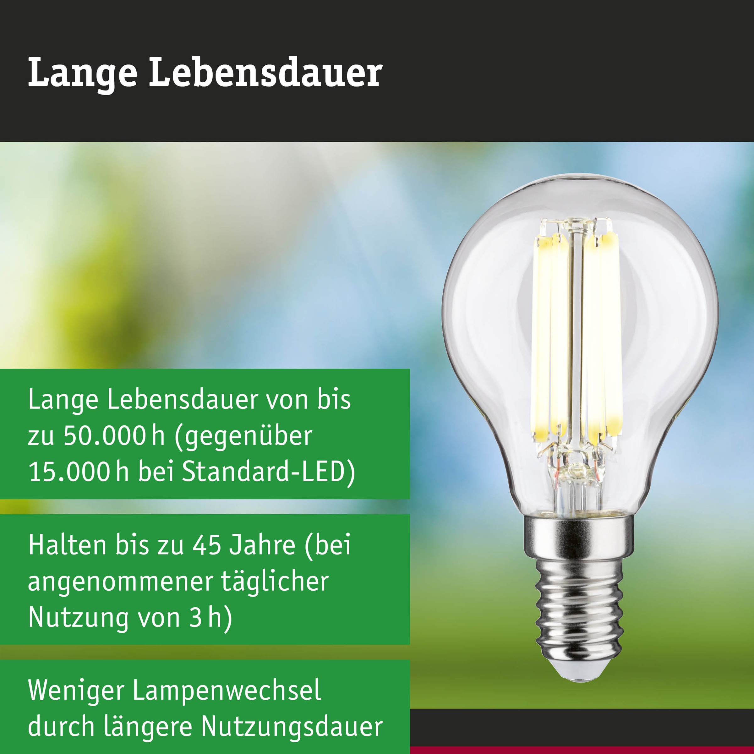 Paulmann LED-Leuchtmittel »Efficient-Line Filament 230V LEDTropfen E14 1St. 525lm 2,5W 4000K Klar« E14 1 Stk. Neutralweiß