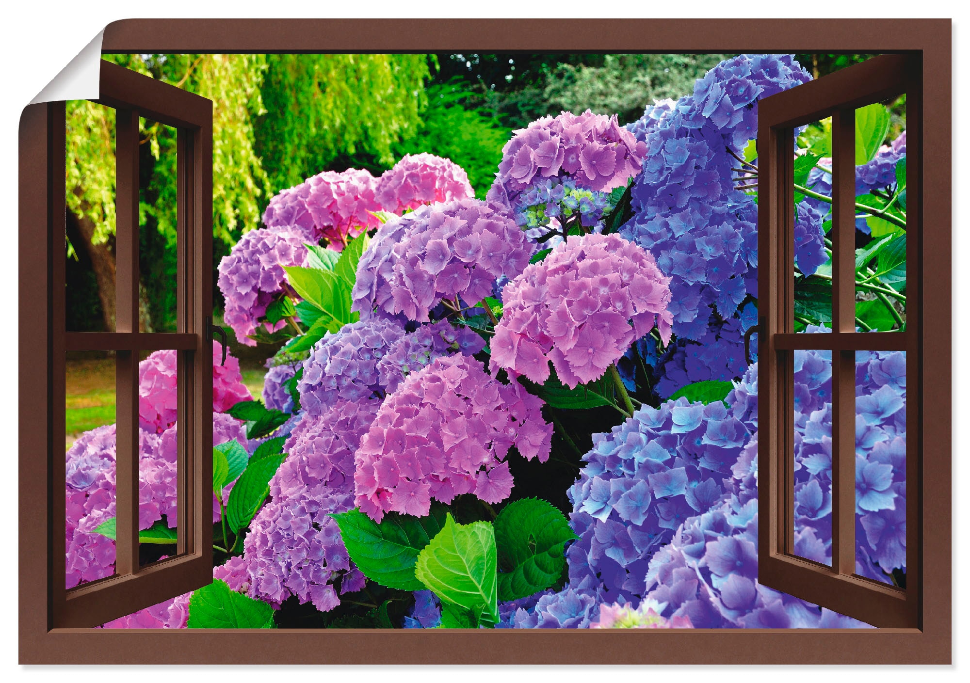 Hortensien Blumen, in St.), »Fensterblick - Artland Wandaufkleber (1 BAUR im Größen oder Alubild, Leinwandbild, | versch. Garten«, bestellen Poster Wandbild als