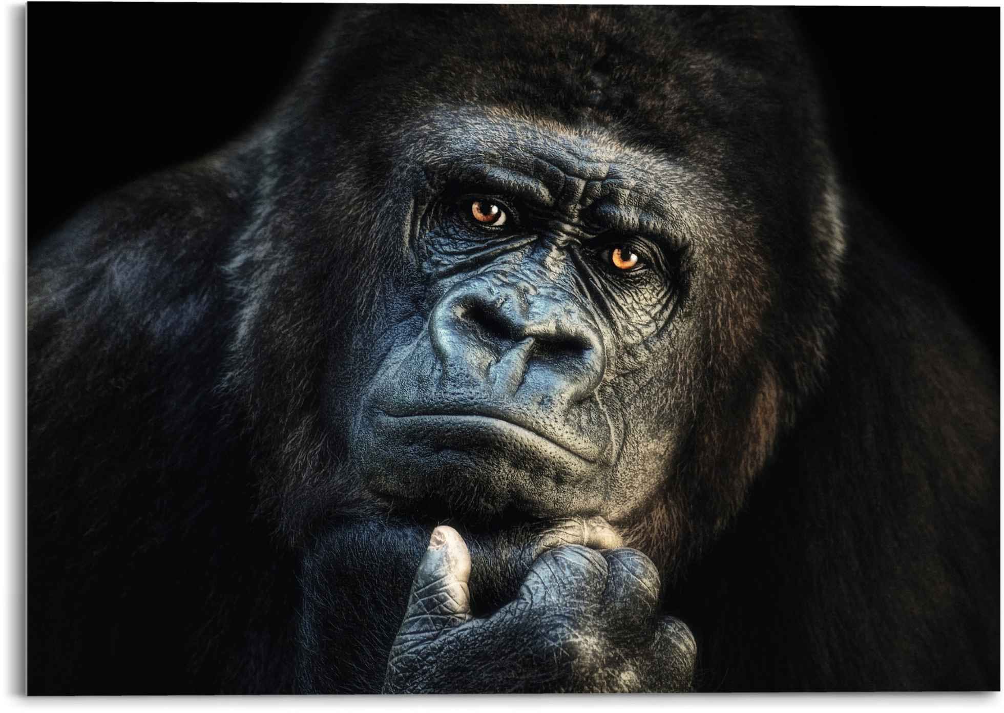 Glasbild »Glasbild Gorilla Affe - Kräftig - Nachdenklich«, Affen, (1 St.)