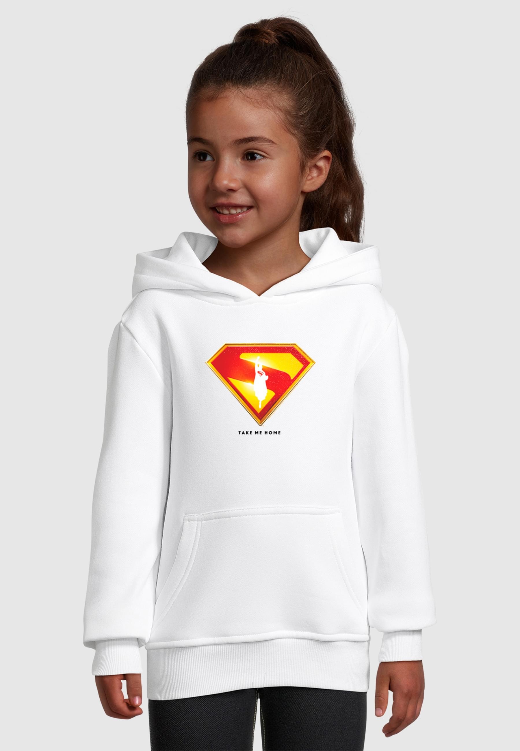ABSOLUTE CULT Kapuzensweatshirt »ABSOLUTE CULT Kids Superman Logo Take Me Home Basic Hoody«, (1 tlg.)