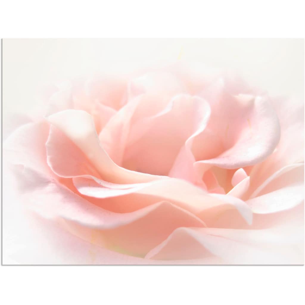 Artland Wandbild »Rose I«, Blumen, (1 St.)
