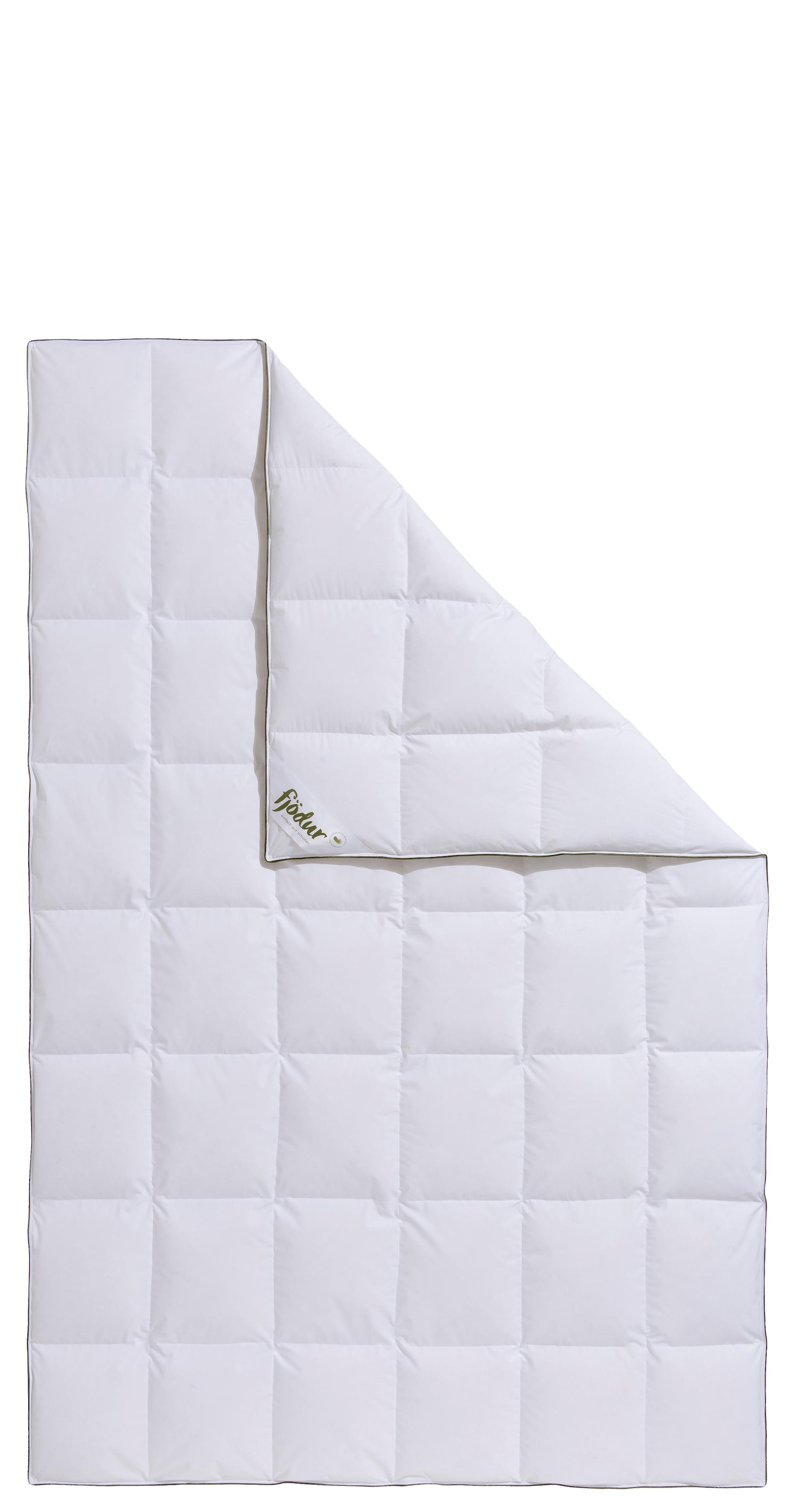 fjödur Daunenbettdecke "Felix" normal Füllung 90% Daunen, 10%Federn 1 Stk. günstig online kaufen