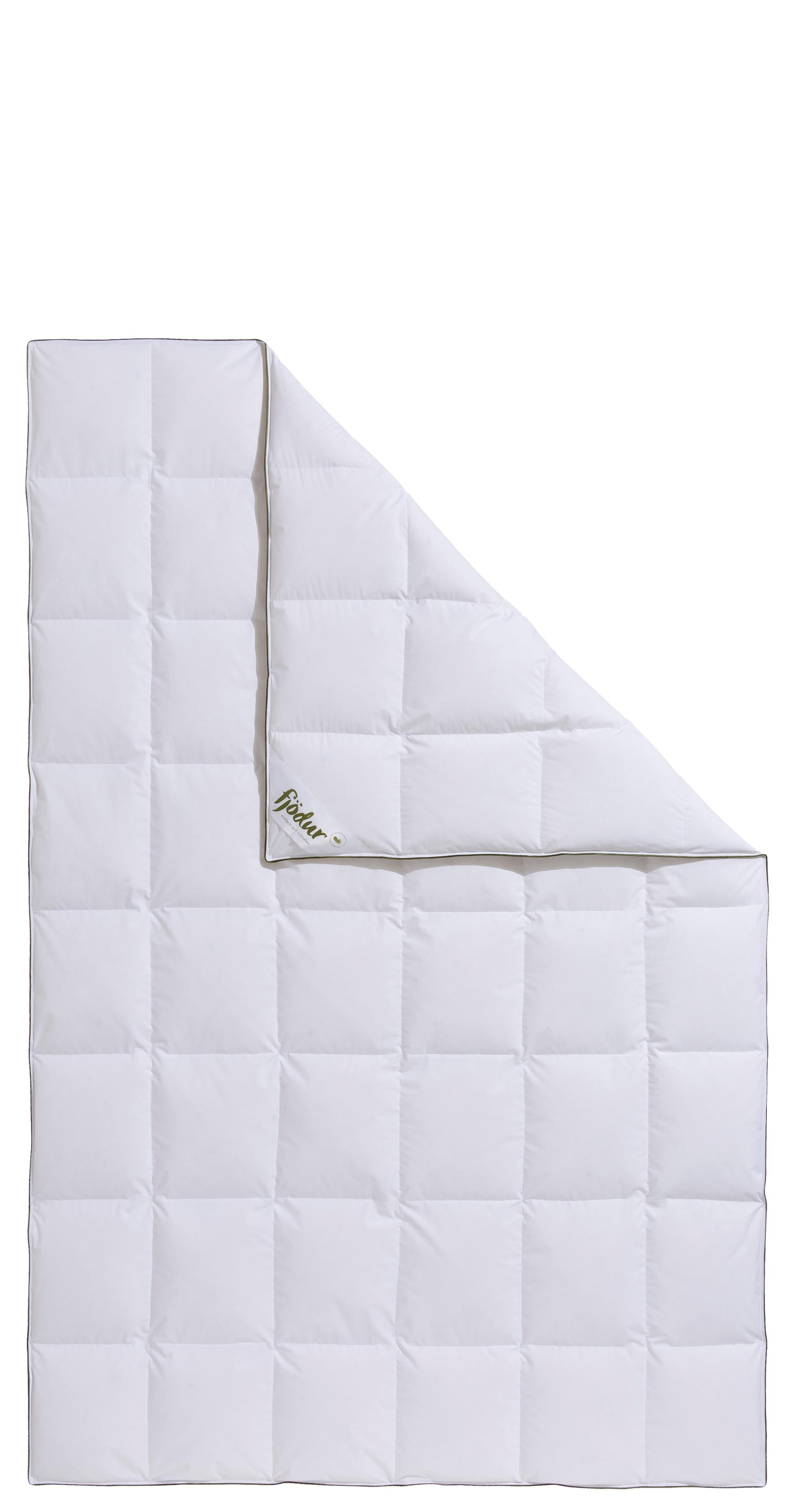 fjödur Gänsedaunenbettdecke "Franzisk, Bettdecken für Sommer oder Winter, D günstig online kaufen