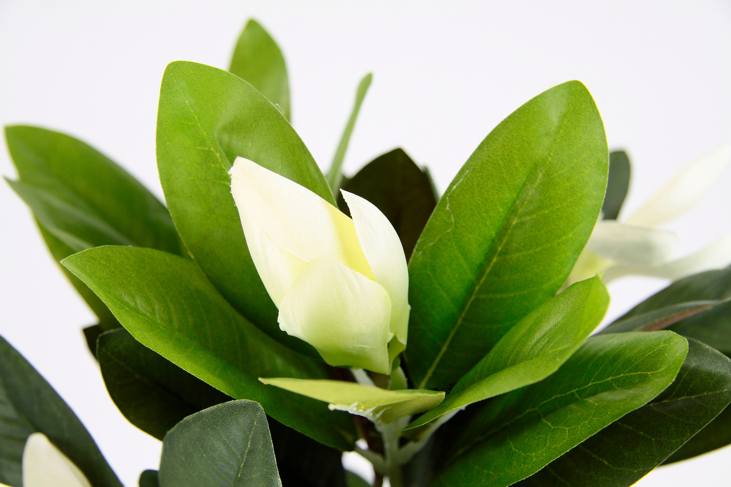 I.GE.A. Kunstblume »Magnolie«, Im Topf Magnolienbusch künstlich Frühling Seidenblumen Raumdeko