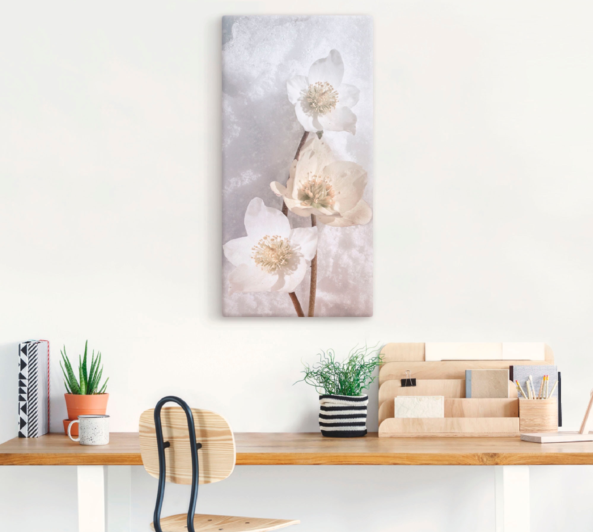 St.), Poster (1 »Christrose in Größen Artland Leinwandbild, oder | BAUR kaufen versch. im Alubild, Wandbild Blumen, Schnee«, als Wandaufkleber