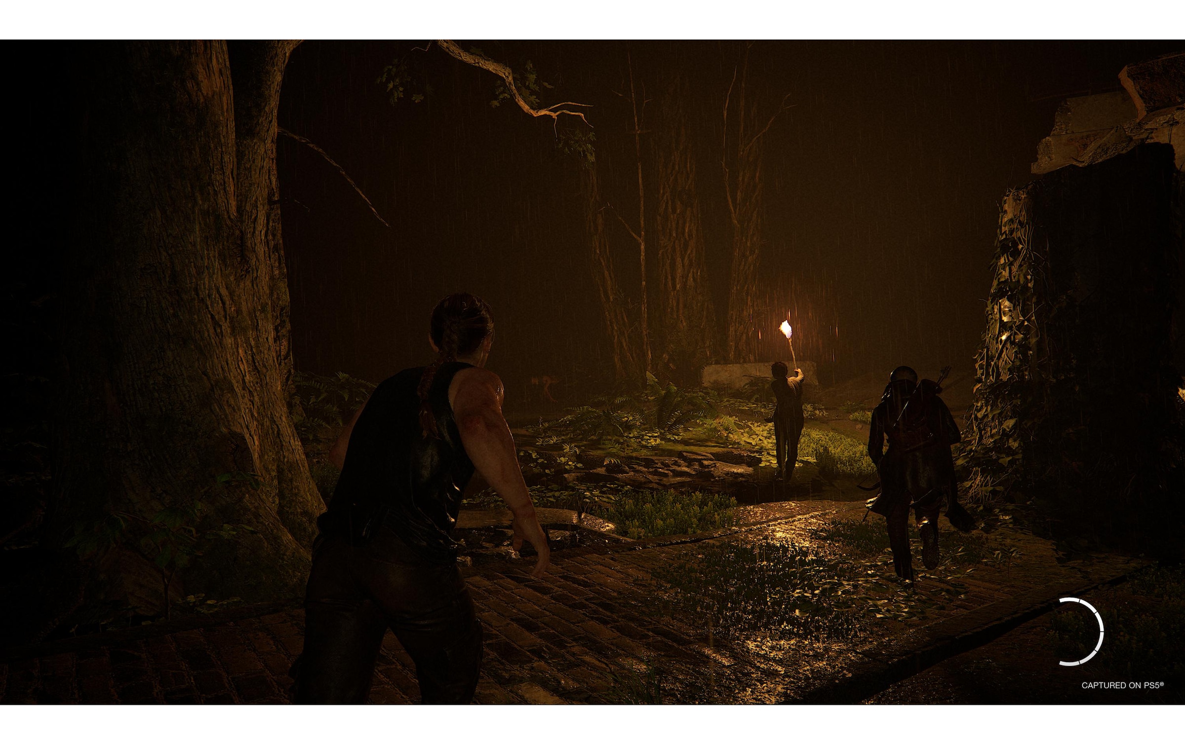 Sony Spielesoftware »The Last of Us Part II« PlayStation 5