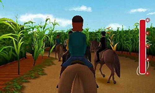 Kiddinx Spielesoftware »Bibi & Tina: Das Spiel zum Kinofilm«, Nintendo 3DS, Software  Pyramide | BAUR
