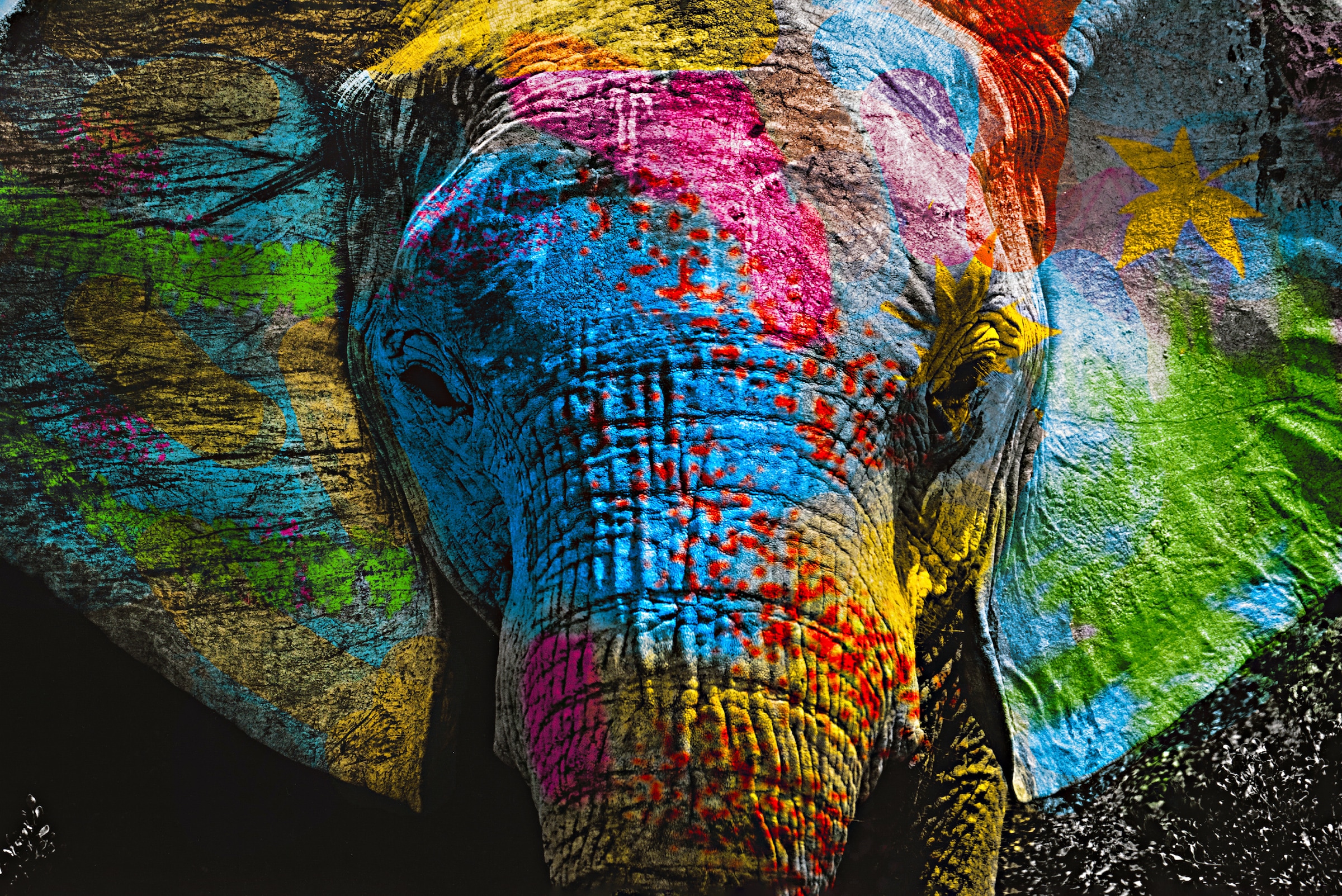 Affengeilebilder Leinwandbild "Color Elephant auf Keilrahmen gespannt" 1 Stk. tlg. Kunstdruck Wandbild Bild in verschiedenen Formaten