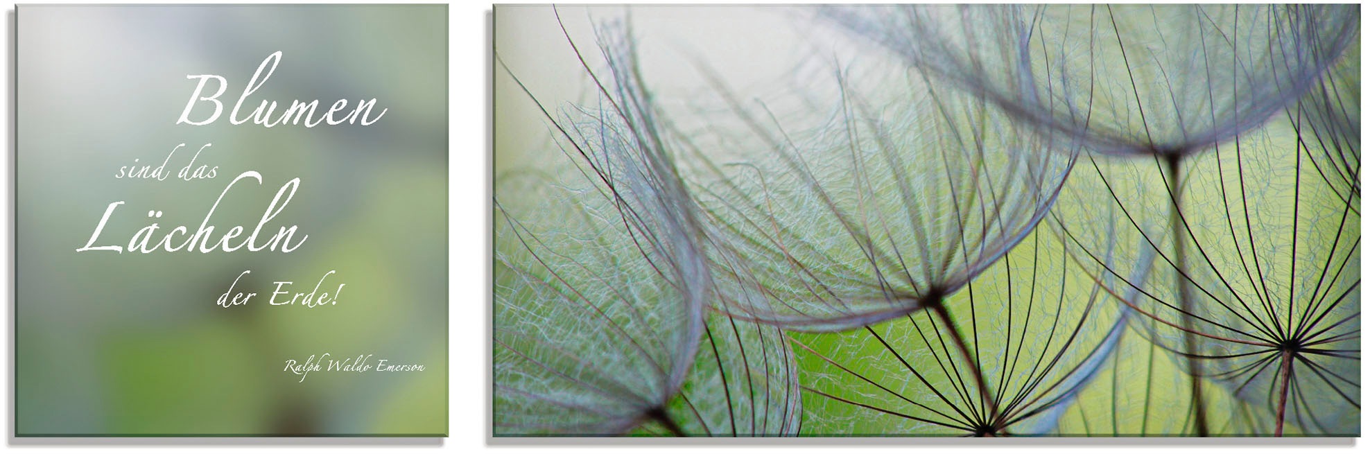 Artland Glasbild Zitatenbild Pusteblumen Samen Spruche Texte 2 St Bestellen Baur