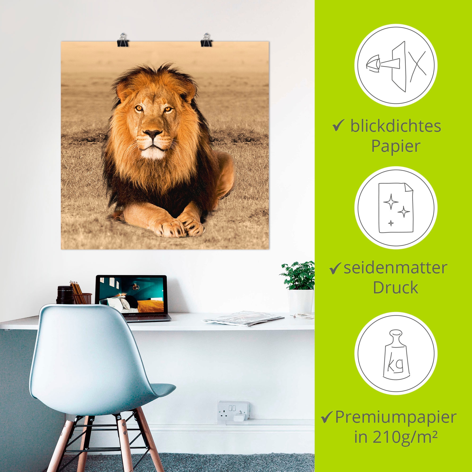 Artland Wandbild »Löwe«, Wildtiere, (1 St.), als Alubild, Outdoorbild, Leinwandbild, Poster, Wandaufkleber