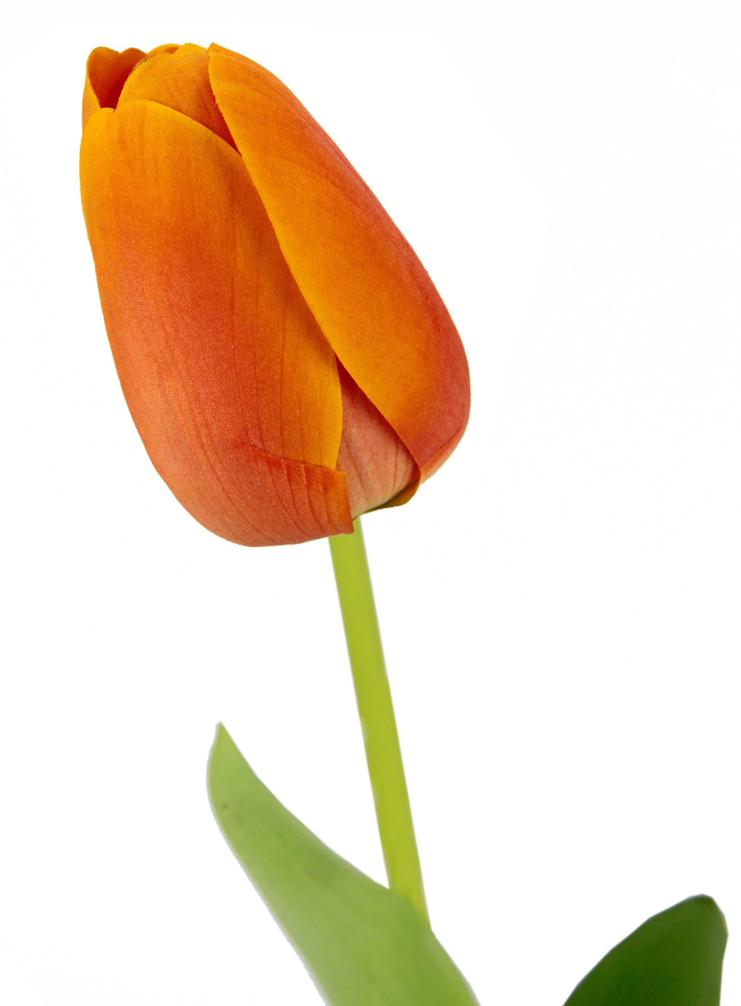 I.GE.A. Kunstblume »Real Touch Stielblume bestellen Kunstblumen, | Set BAUR künstliche Tulpenknospen, 5er Tulpen«