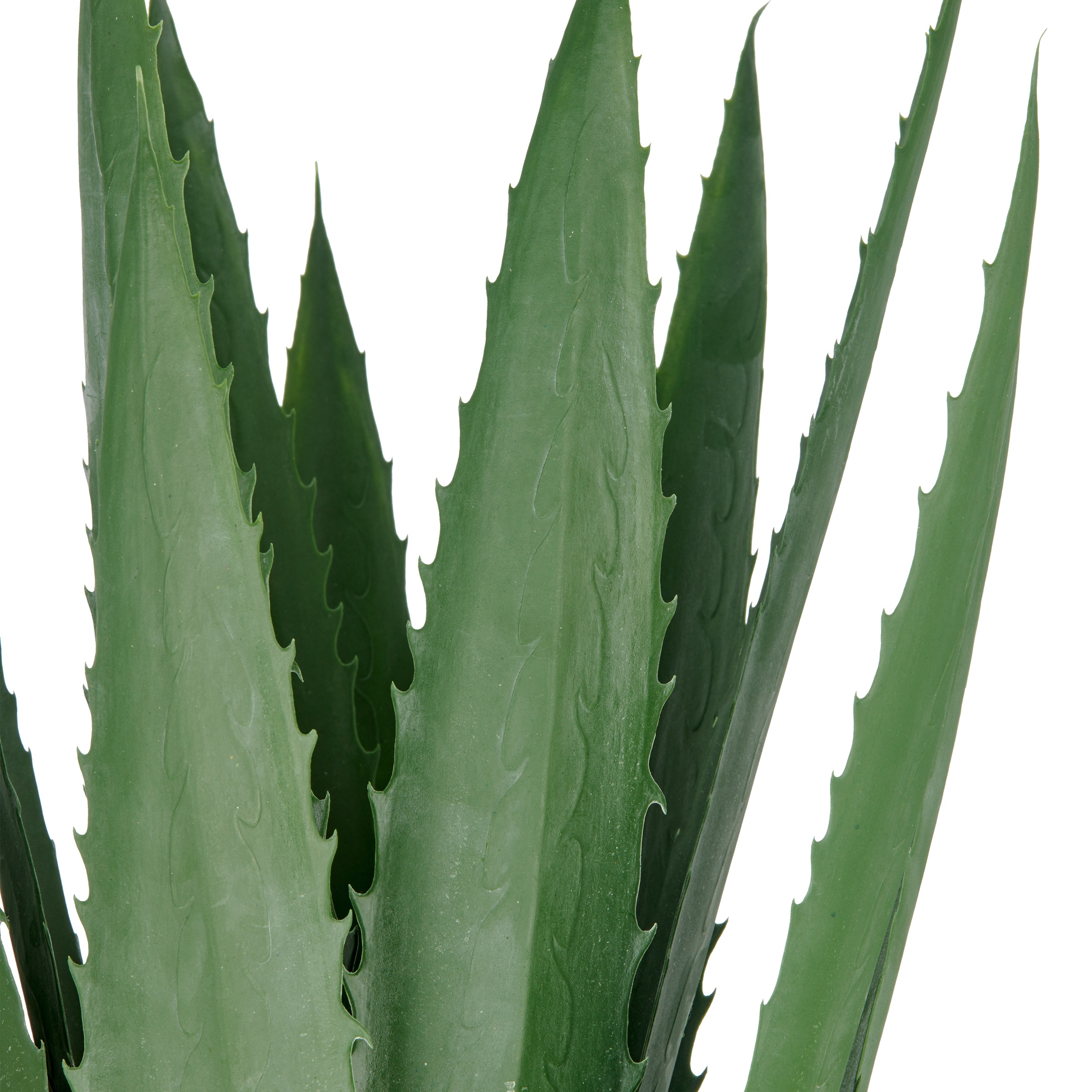 Creativ green Kunstpflanze "Agave", mit 13 Agavenblättern günstig online kaufen