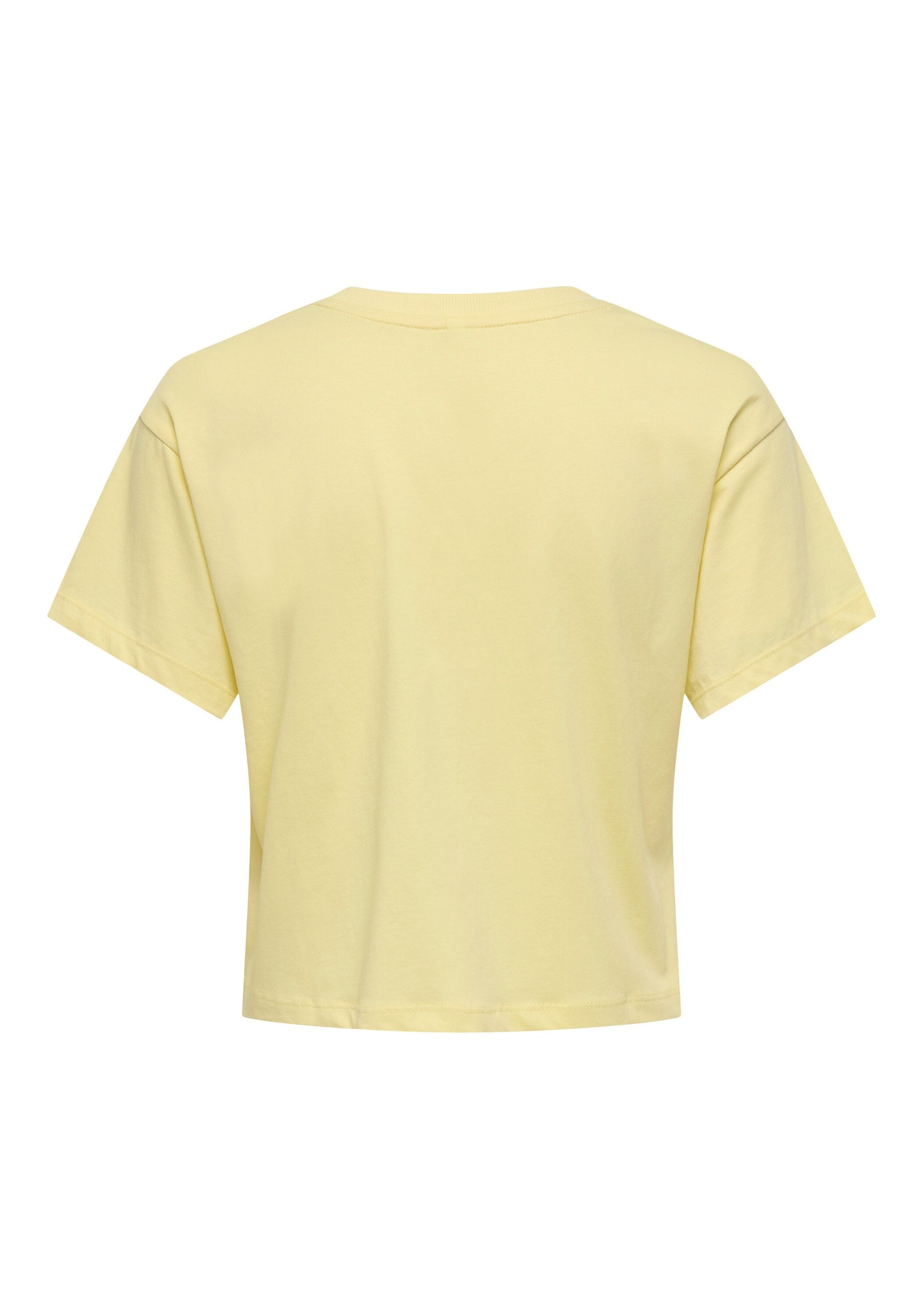 ONLY T-Shirt »T-Shirt ONLBRIANNA LIFE O-NECK TOP BOX 1er Pack«