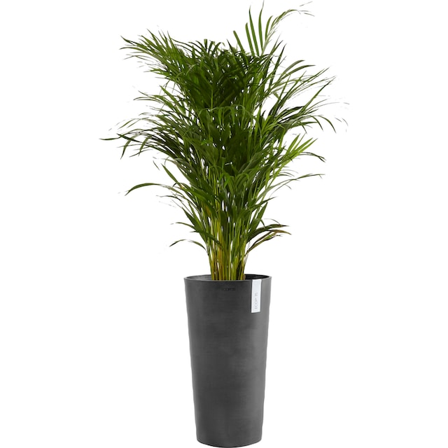 ECOPOTS Blumentopf »AMSTERDAM HIGH Dark Grey«, BxTxH: 41x41x76 cm bestellen  | BAUR