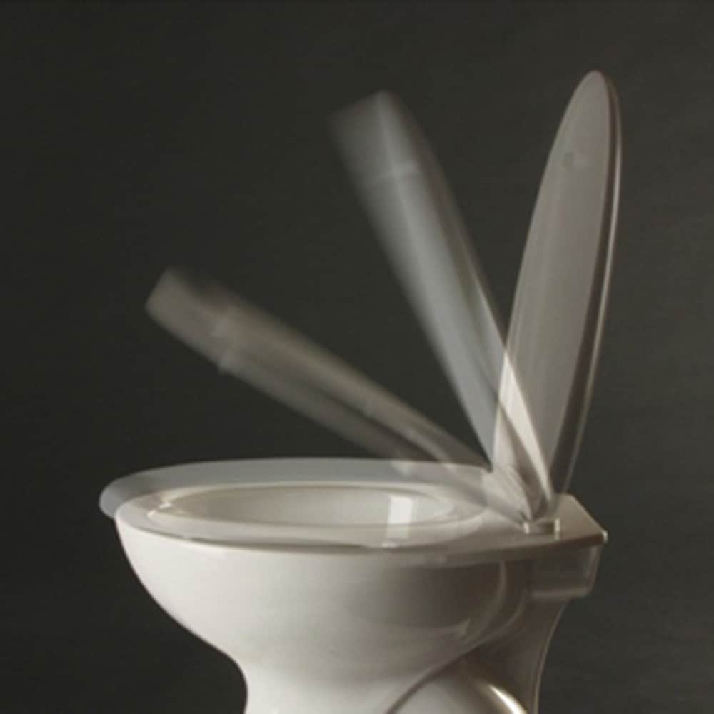welltime WC-Sitz »Classic Decor« Kratzfester Duroplast Klo-Sitz mit Absenkautomatik & Schnellverschluss
