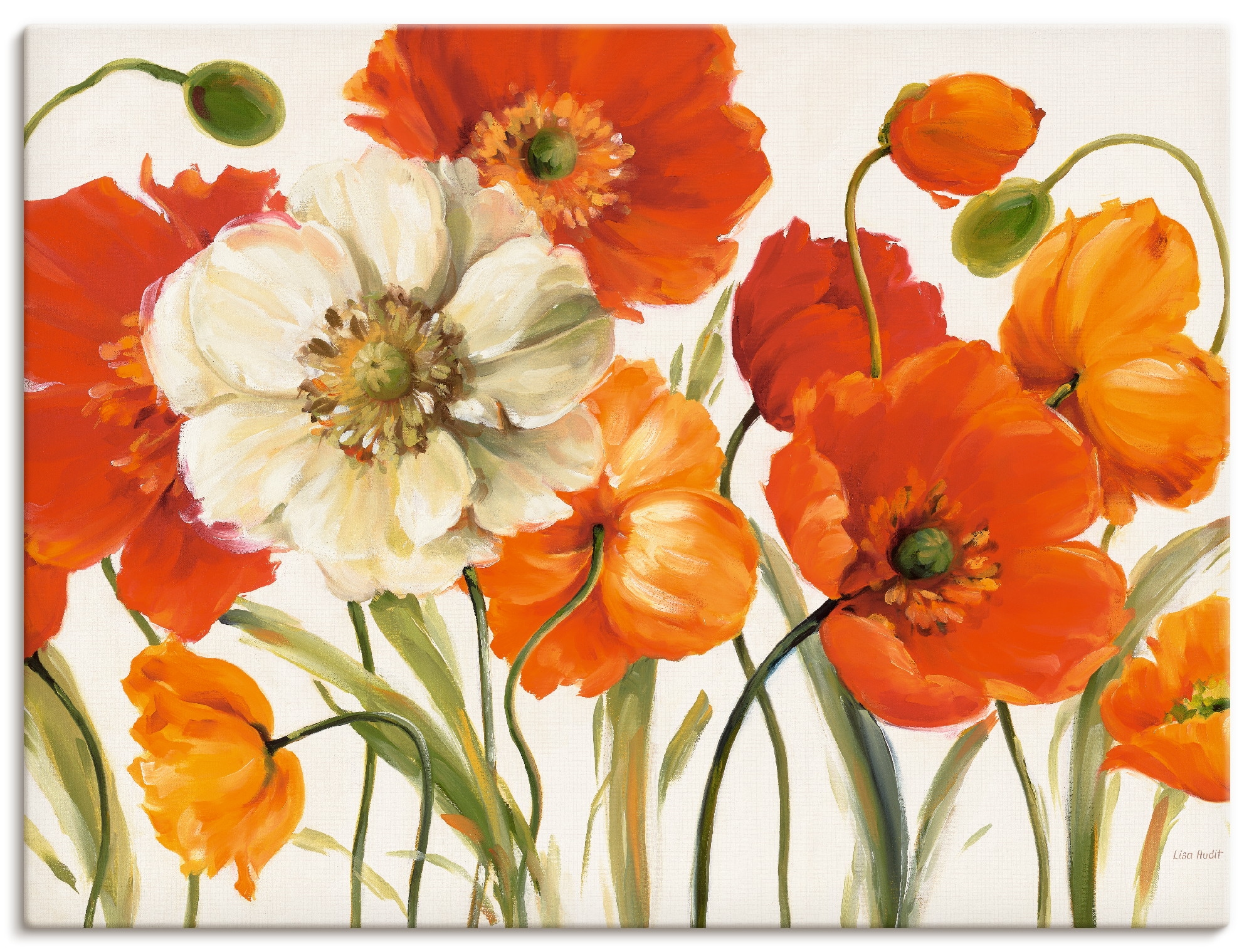 Artland Wandbild "Mohnblumen I" Blumen 1 Stk. tlg. als Leinwandbild, Poster günstig online kaufen