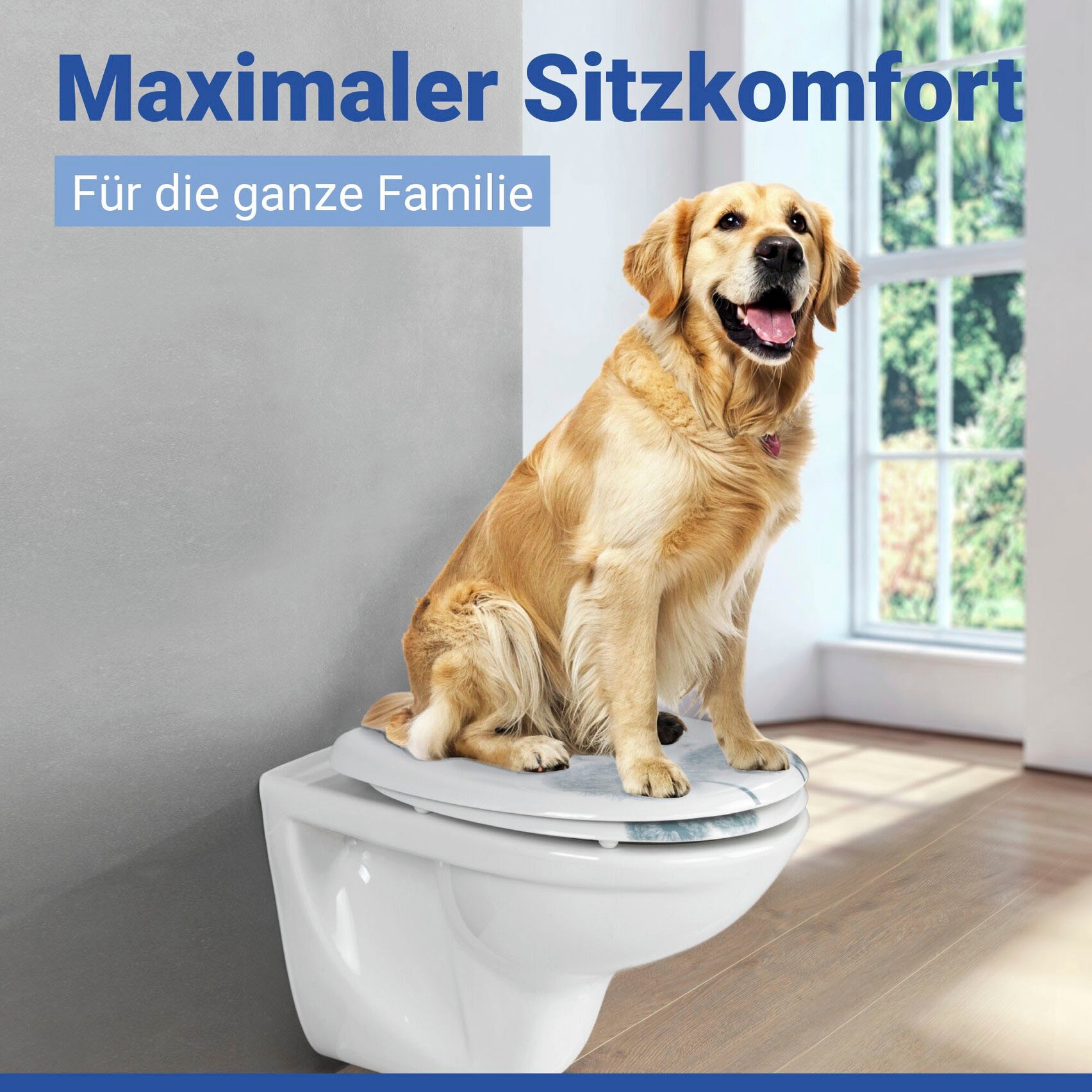 WENKO WC-Sitz »Astera« Duroplast, mit Absenkautomatik