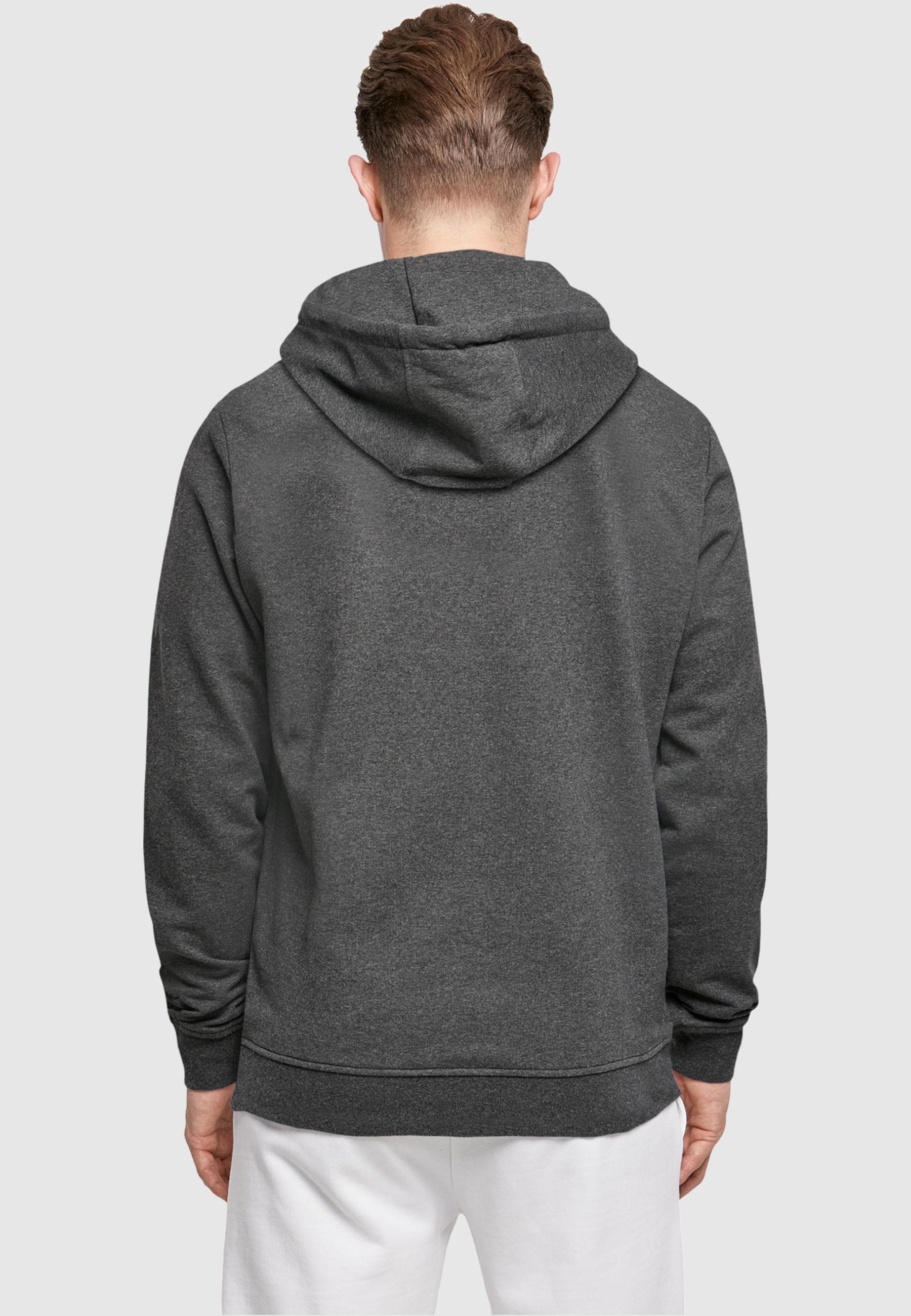 ABSOLUTE CULT Kapuzensweatshirt »ABSOLUTE CULT Herren Cars - Radiator Springs Group Basic Hoody«, (1 tlg.)