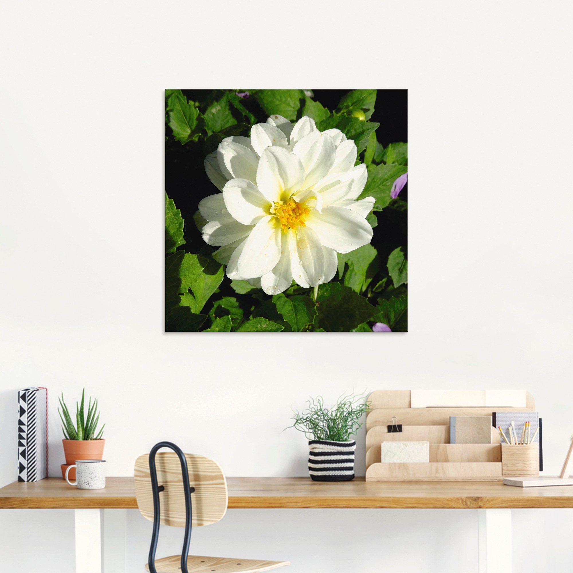 Artland Glasbild »Weiße Dahlienblüte«, Blumen, (1 St.), in verschiedenen Größen