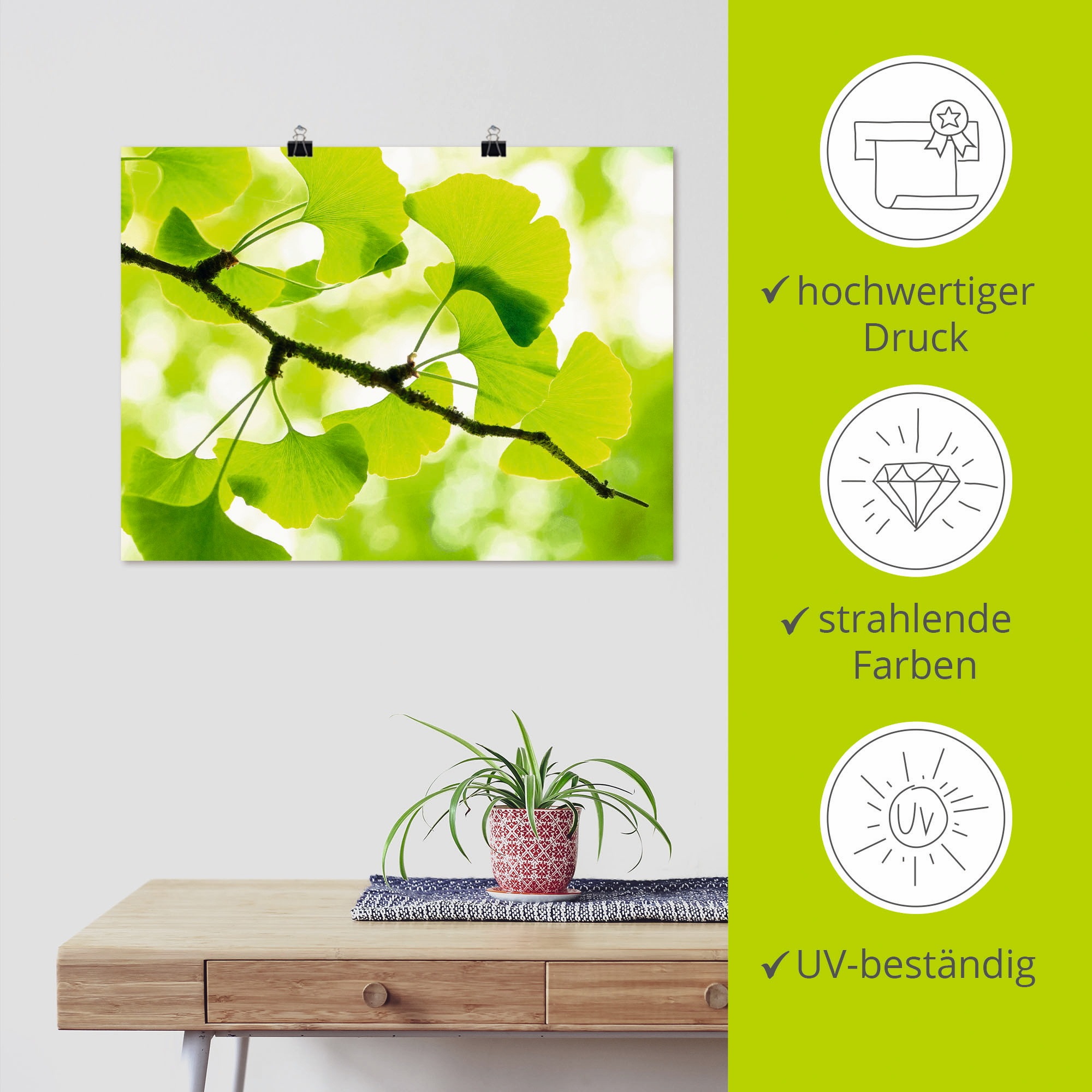 Artland Wandbild »Ginkgo«, Blätter, (1 St.), als Leinwandbild, Poster in verschied. Größen