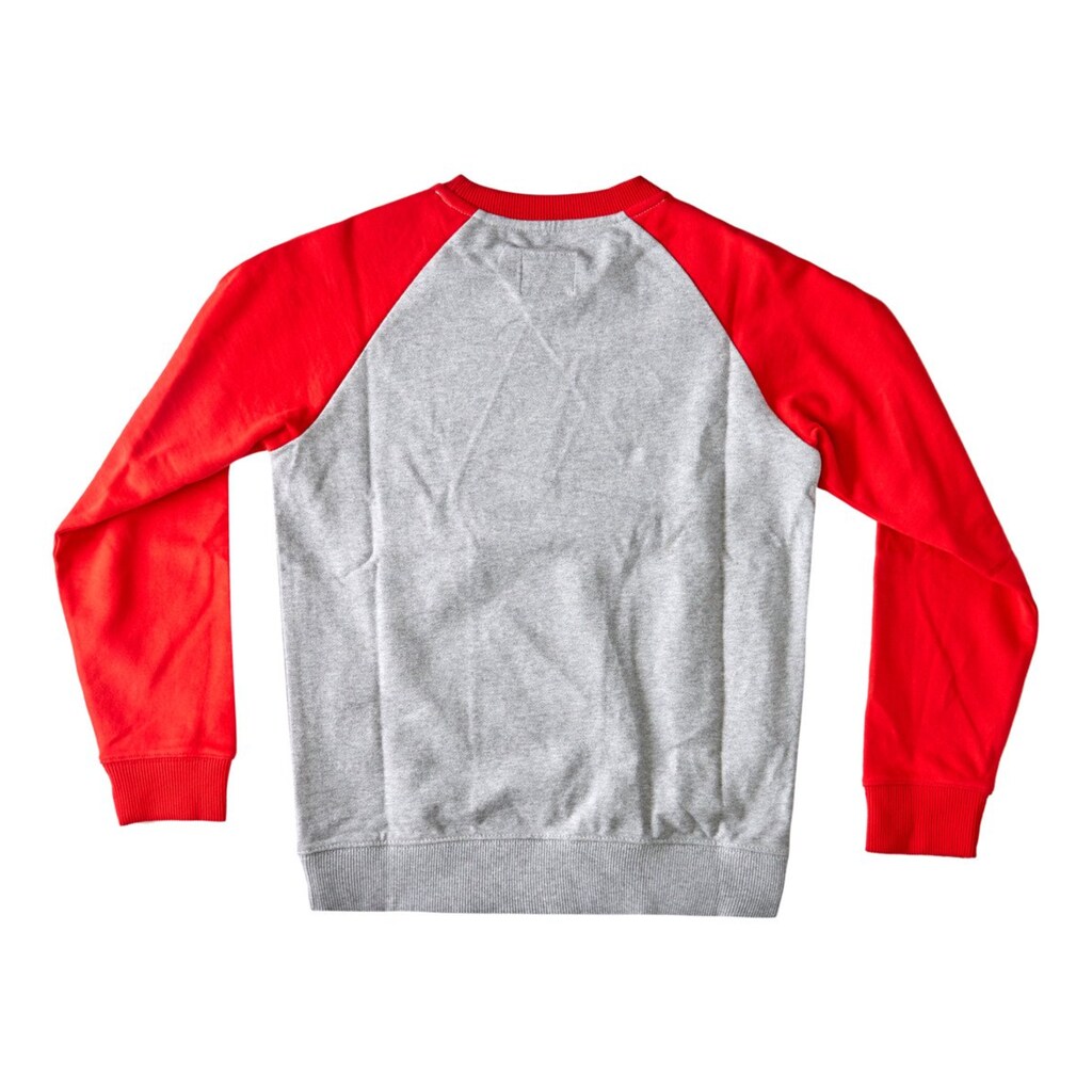 DC Shoes Sweatshirt »DC Star Pilot«