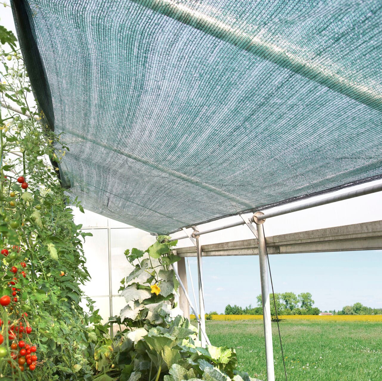 Windhager Sichtschutzzaunmatten idealer Schattenspender für Gewächshäuser, Kfz-Stellplätze, L: 5 m