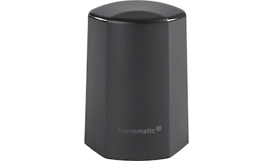 Homematic IP Sensor »Temp. & Luftfeuchtigkeitssensor außen - anthrazit (150574A0)« kaufen