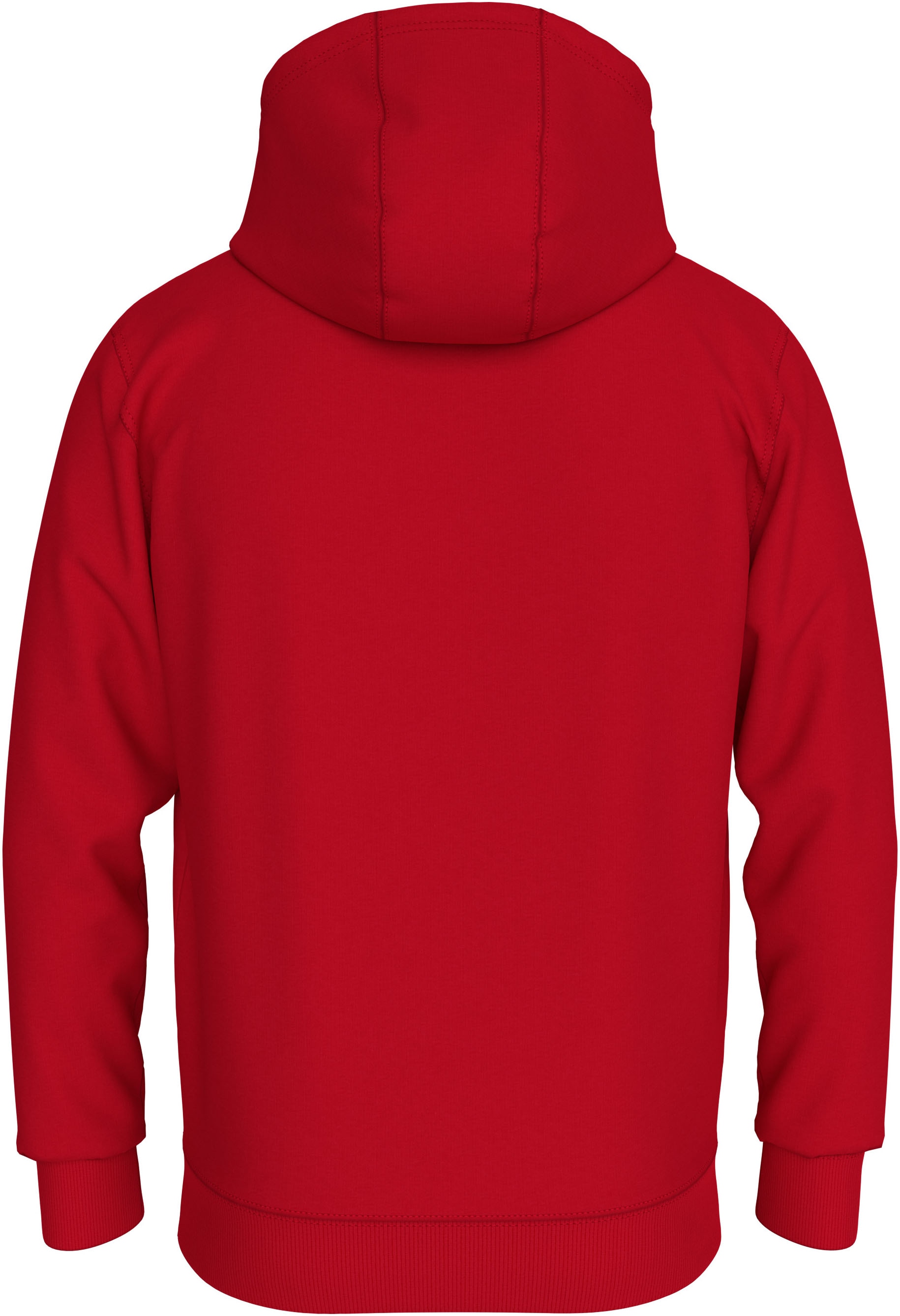 Tommy Jeans Kapuzensweatshirt »TJM REG LINEAR LOGO HOODIE EXT«, mit Kordel