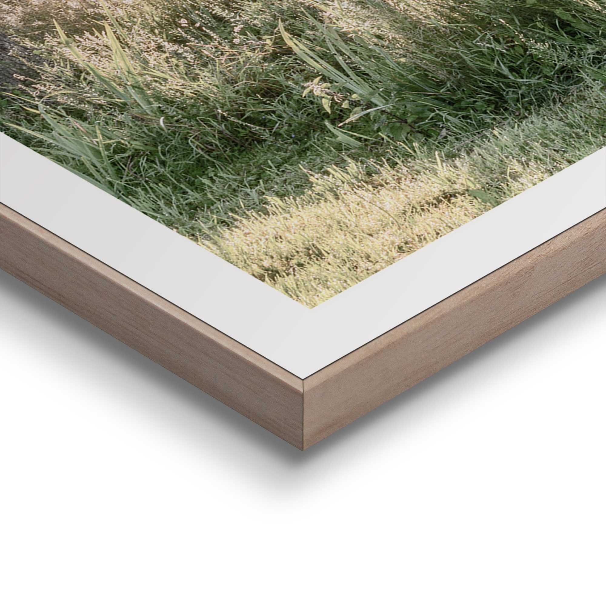 Reinders! Poster »Nature Vibe«, Home Office - Grün - MDF - Landschaften - 50x50 cm