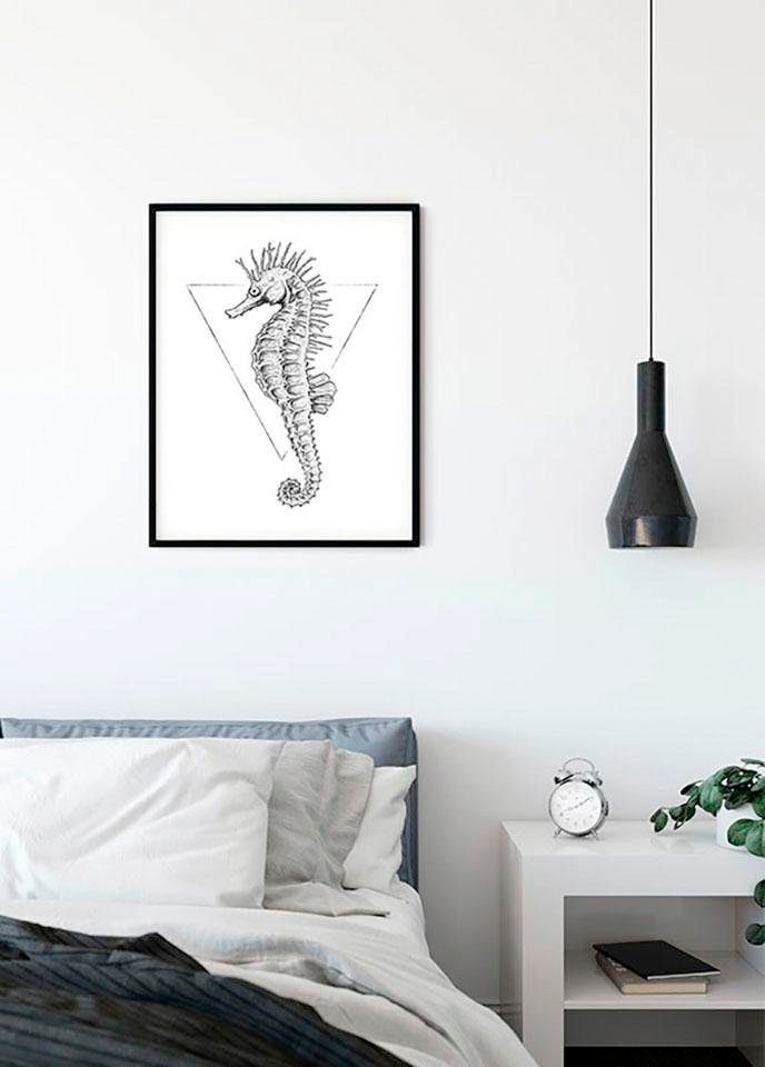Bild KOMAR "Sea Horse White", silber (farbe bild(er): silberfarben), B:30cm H:40cm, Holz, Papier, Bilder, Bild, Wandbild zur Dekoration - ohne Rahmen 3