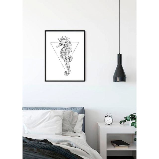 Komar Poster »Sea Horse White«, Tiere, (1 St.), Kinderzimmer, Schlafzimmer,  Wohnzimmer | BAUR