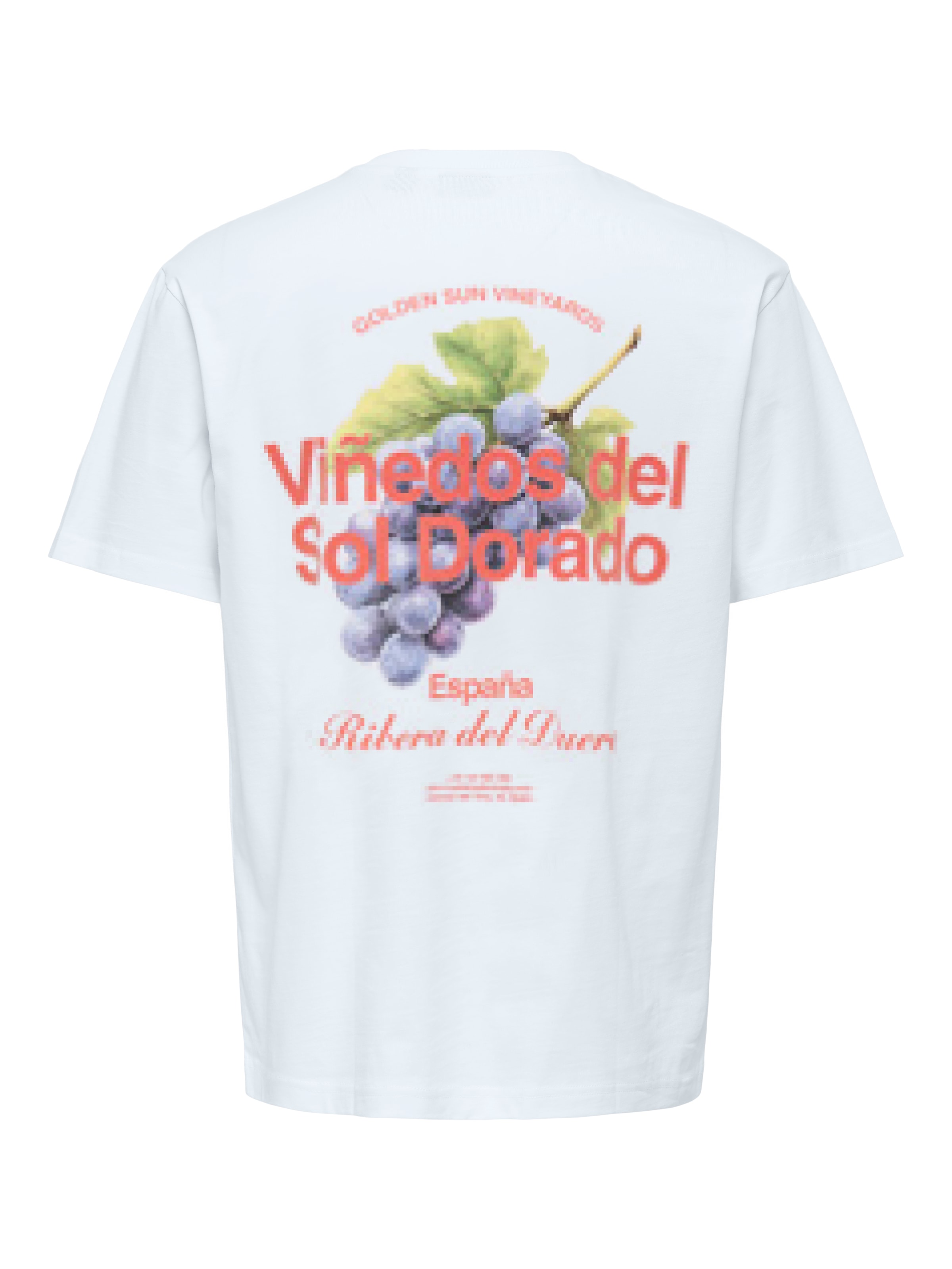 ONLY & SONS T-Shirt »ONSFRED LIFE RLX SS PRINT TEE NOOS« Baumwolle, relaxed fit