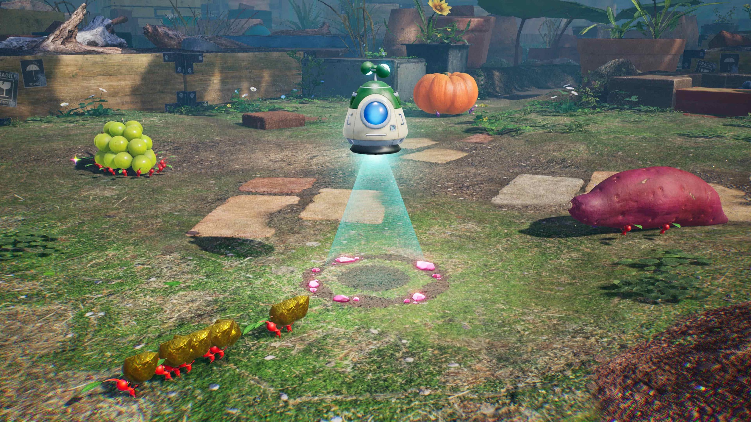Nintendo Switch 2 Spielesoftware »Pikmin 4 - Nintendo Switch 2 Edition + Dandori-Akademie« Nintendo Switch 2