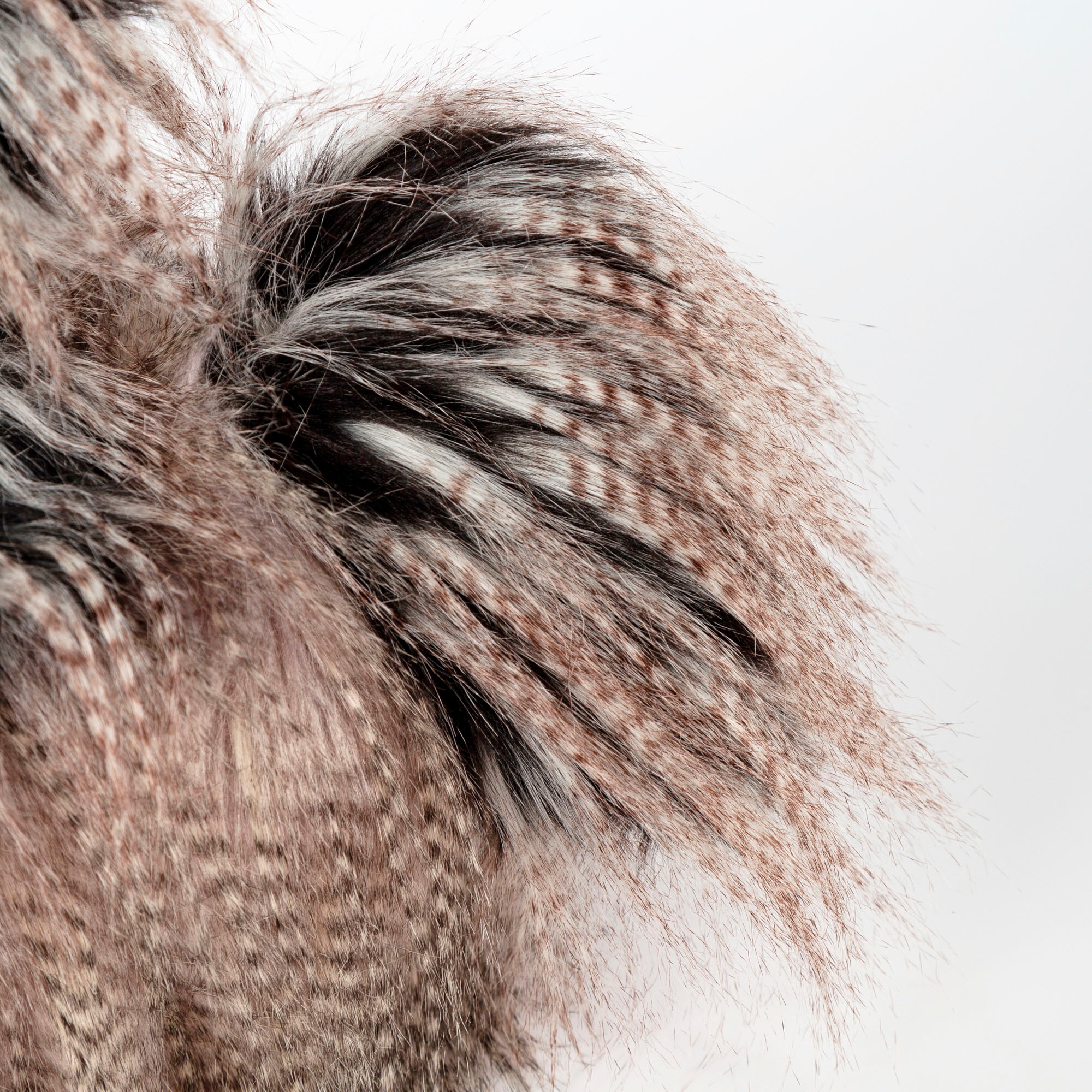 Sigikid Kuscheltier »Kikeriki, Roost Boost«