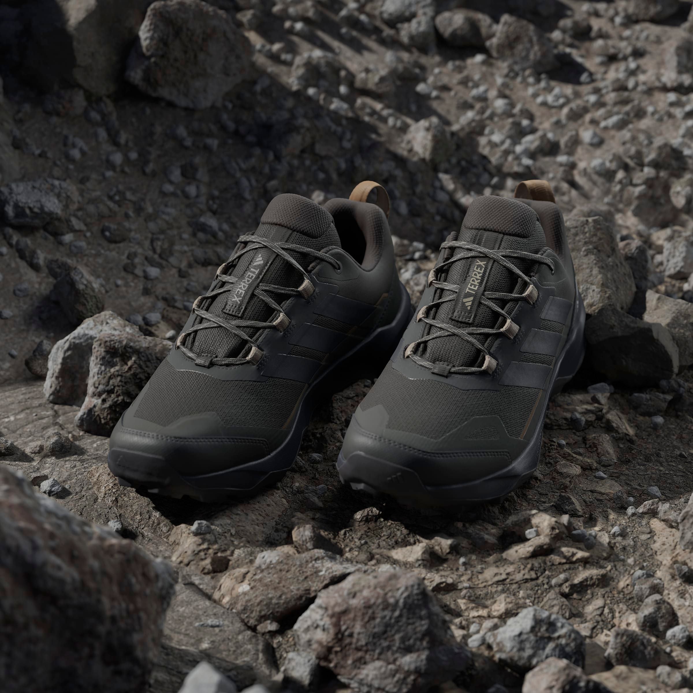 adidas TERREX Wanderschuh »TERREX SKYCHASER AX5 E«